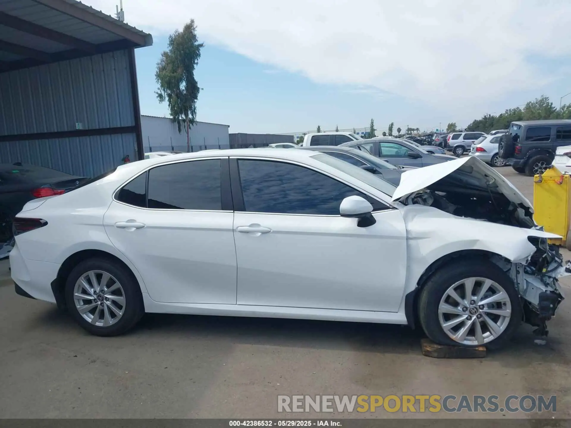 14 fotografías del automóvil dañado 4T1C11AK2MU560936 TOYOTA CAMRY 2021