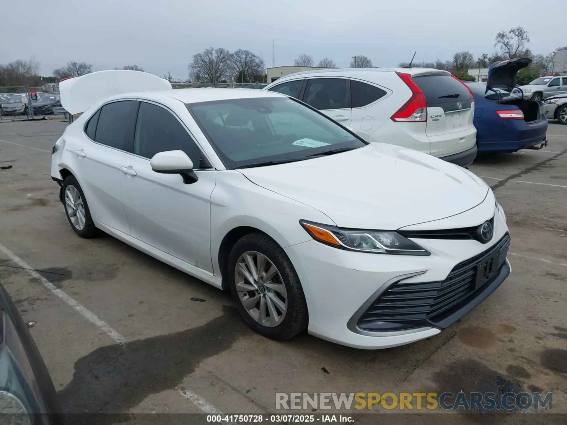 13 fotografías del automóvil dañado 4T1C11AK3MU457038 TOYOTA CAMRY 2021