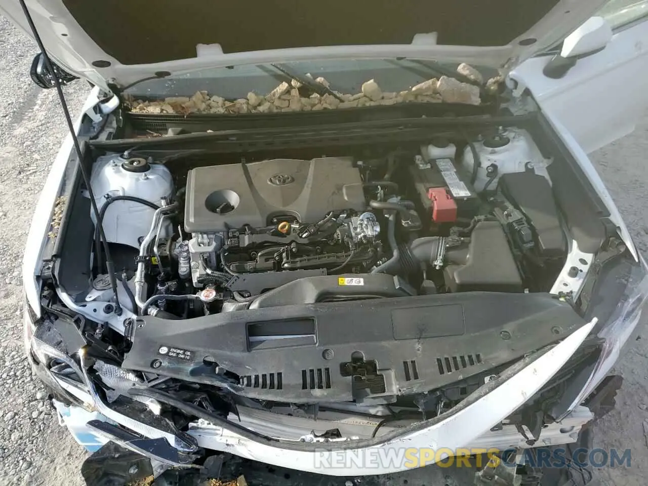 7 fotografías del automóvil dañado 4T1C11AK3MU521336 TOYOTA CAMRY 2021