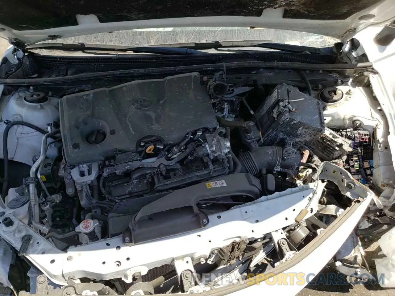 7 fotografías del automóvil dañado 4T1C11AK4MU468839 TOYOTA CAMRY 2021