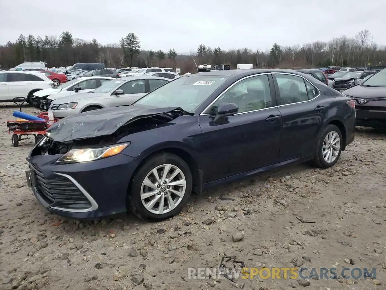 1 fotografías del automóvil dañado 4T1C11AK4MU589838 TOYOTA CAMRY 2021
