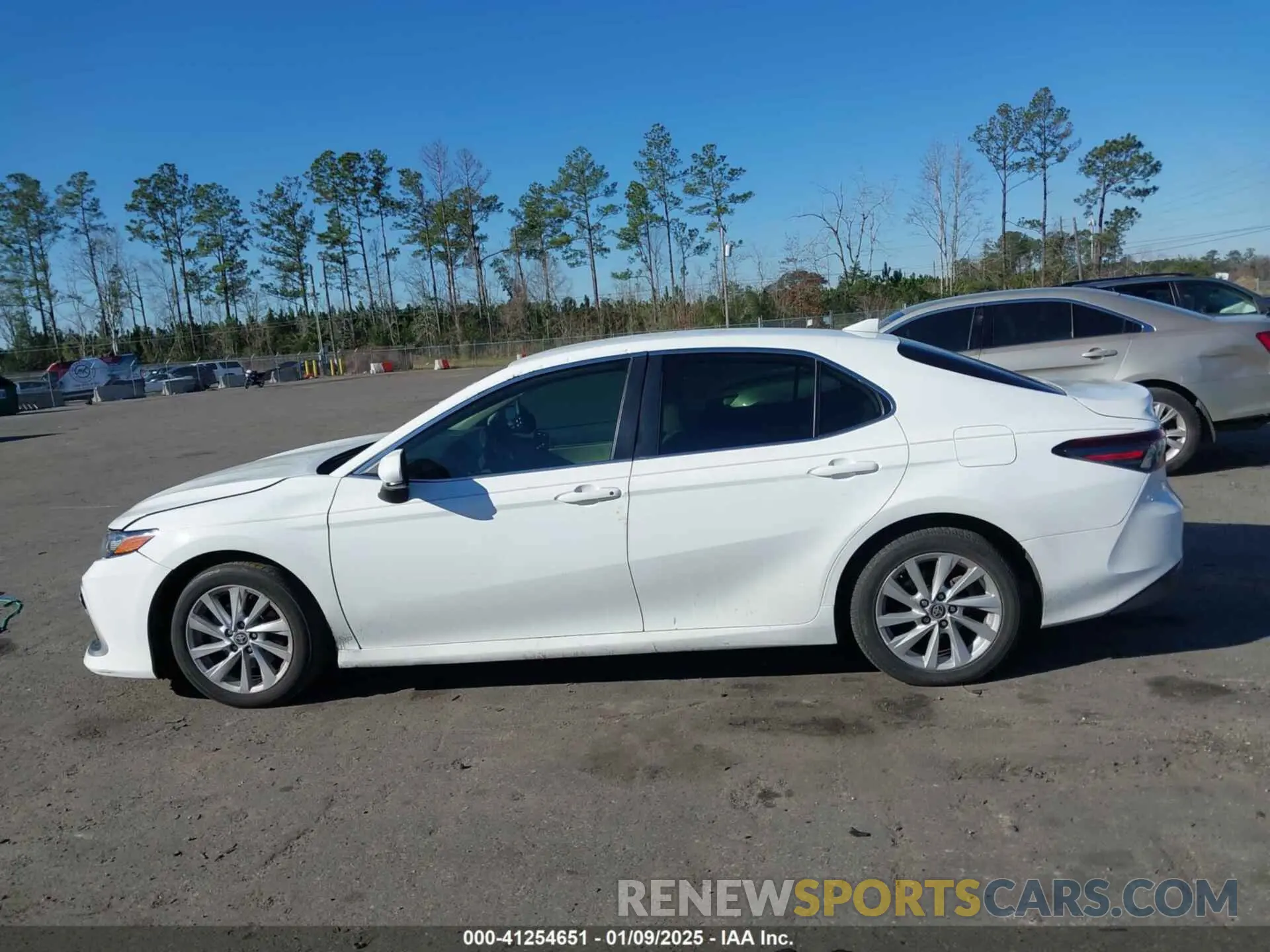 13 fotografías del automóvil dañado 4T1C11AK4MU590617 TOYOTA CAMRY 2021