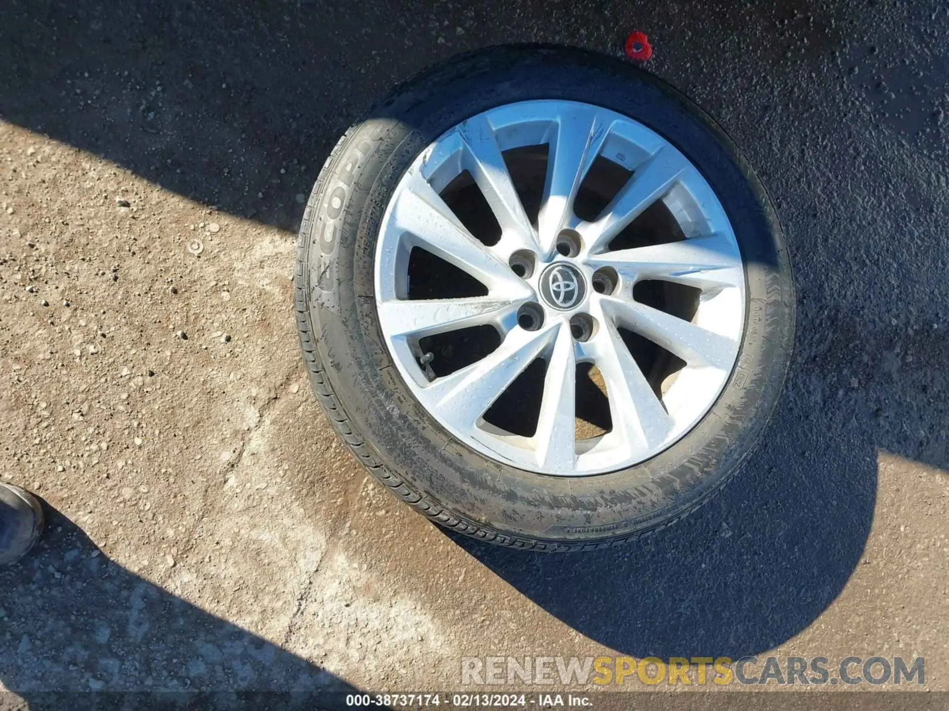 12 fotografías del automóvil dañado 4T1C11AK5MU453377 TOYOTA CAMRY 2021