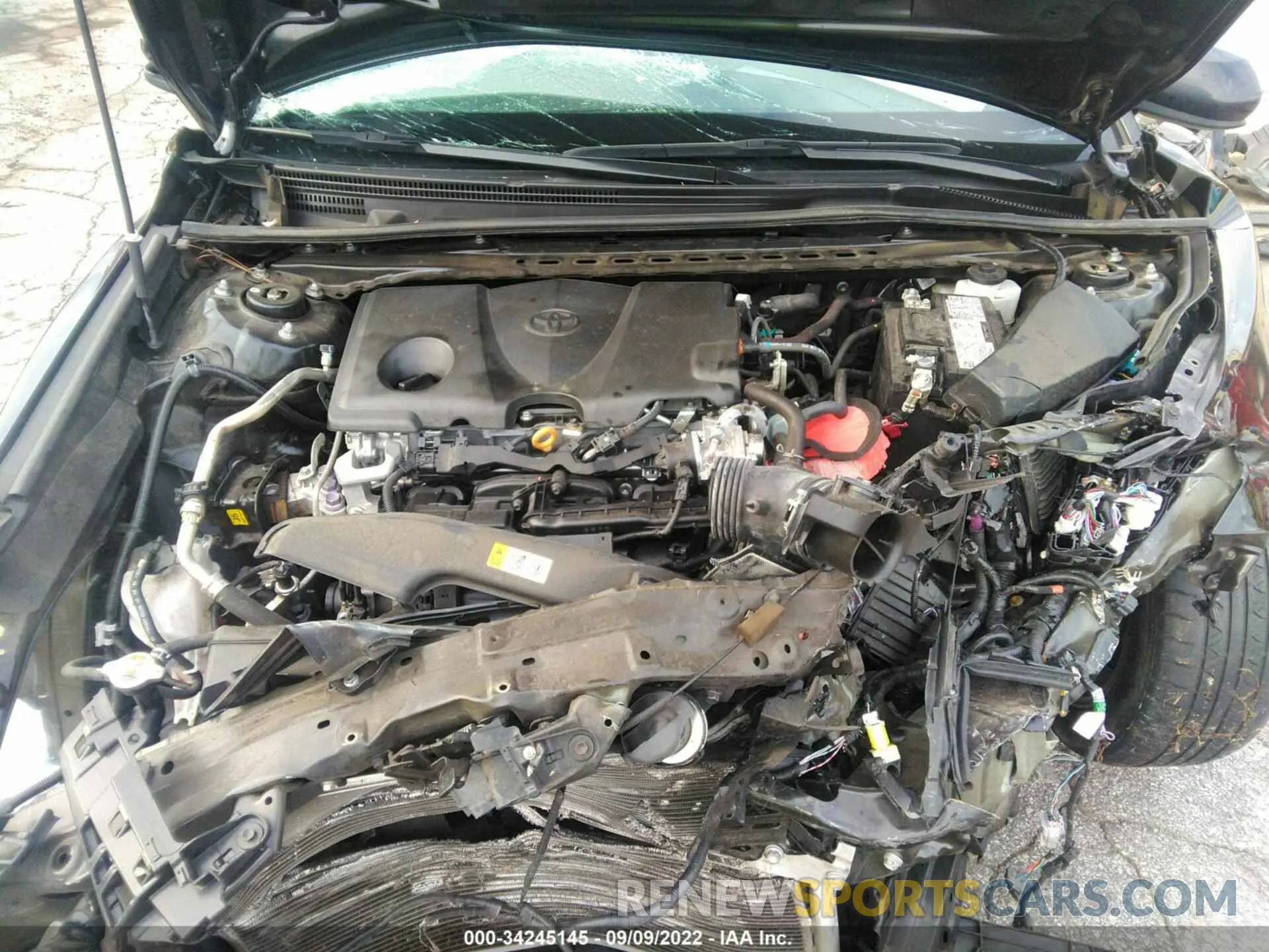 10 fotografías del automóvil dañado 4T1C11AK5MU496830 TOYOTA CAMRY 2021