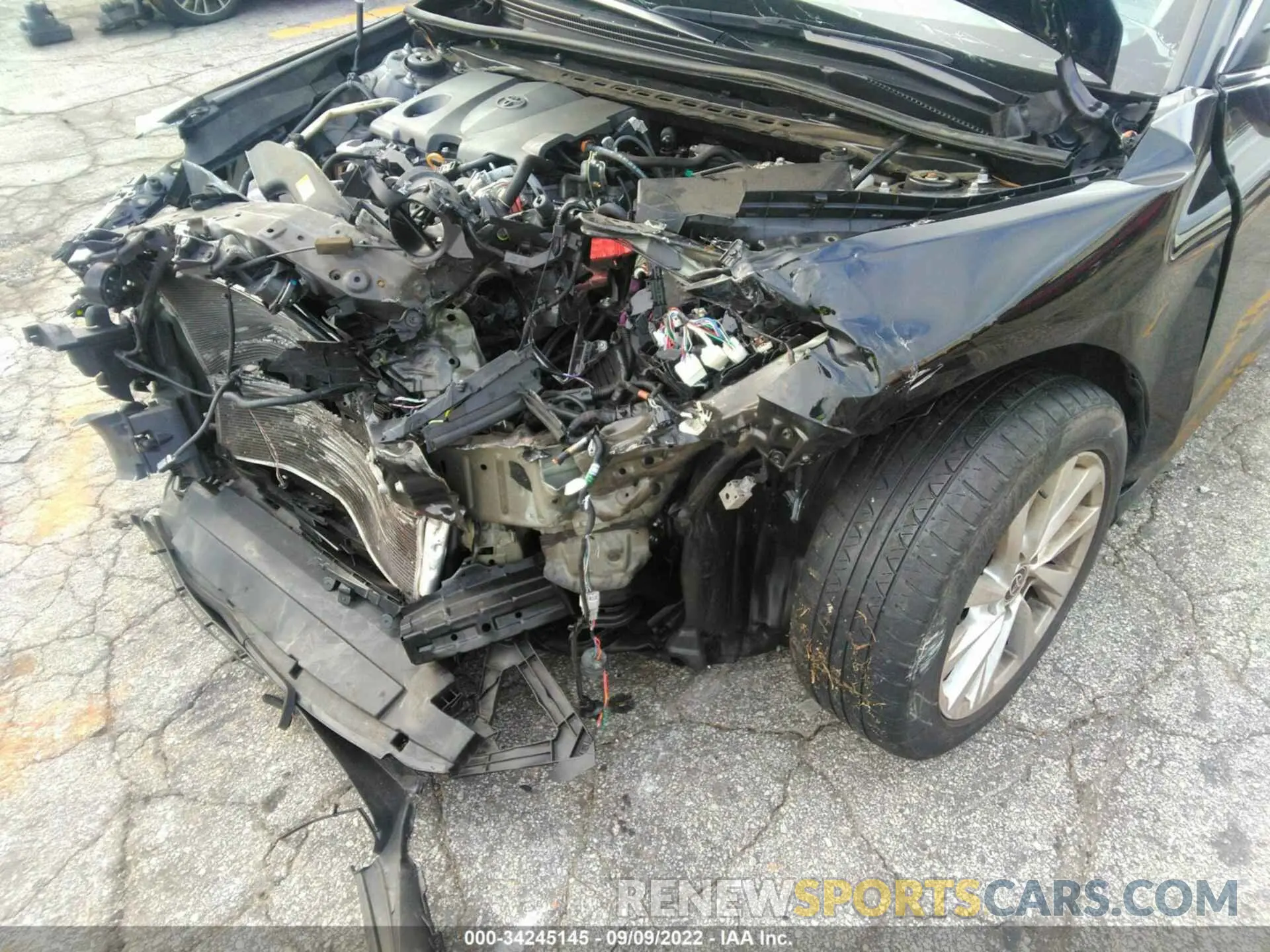 6 fotografías del automóvil dañado 4T1C11AK5MU496830 TOYOTA CAMRY 2021