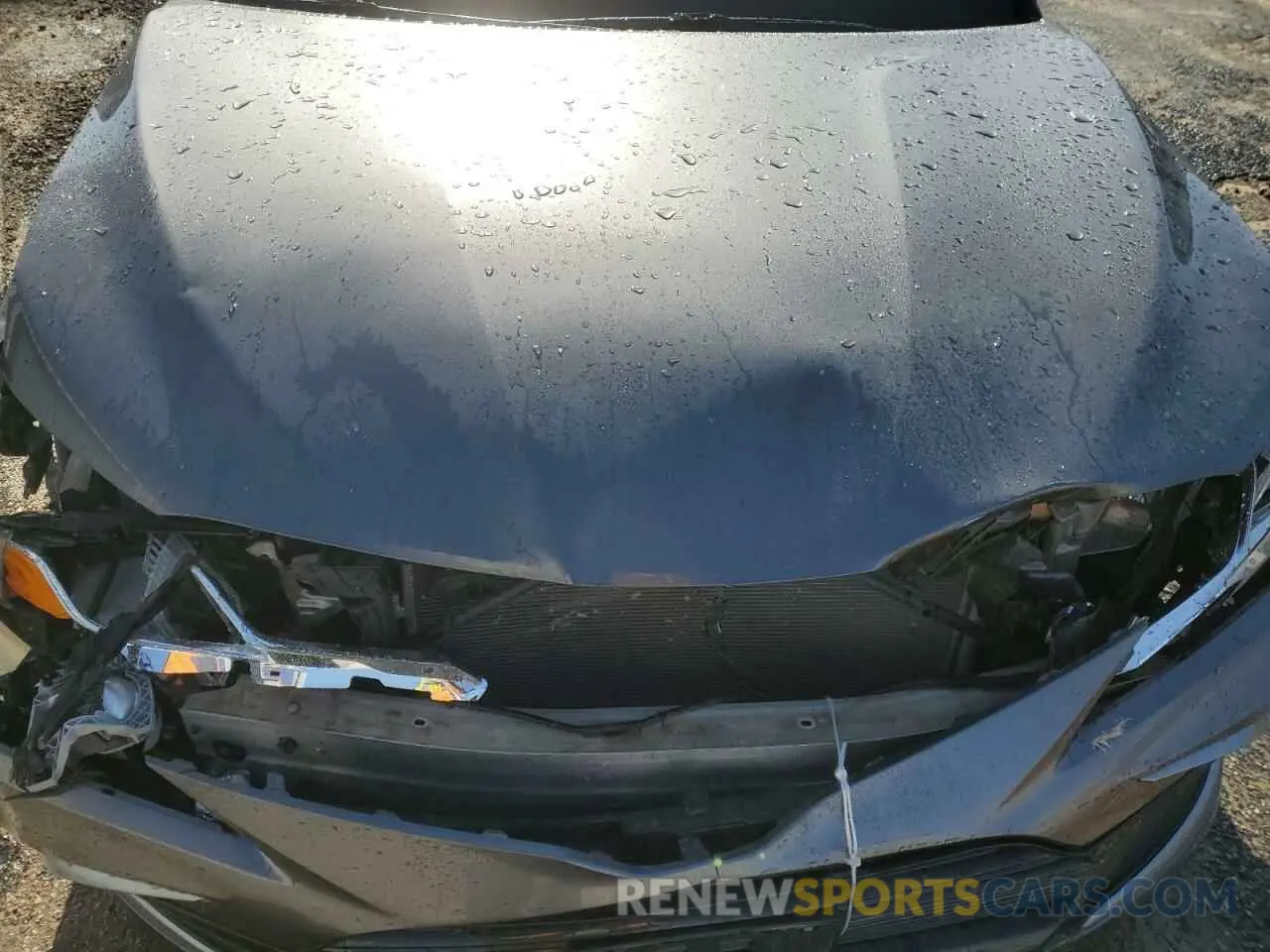 13 fotografías del automóvil dañado 4T1C11AK5MU541717 TOYOTA CAMRY 2021