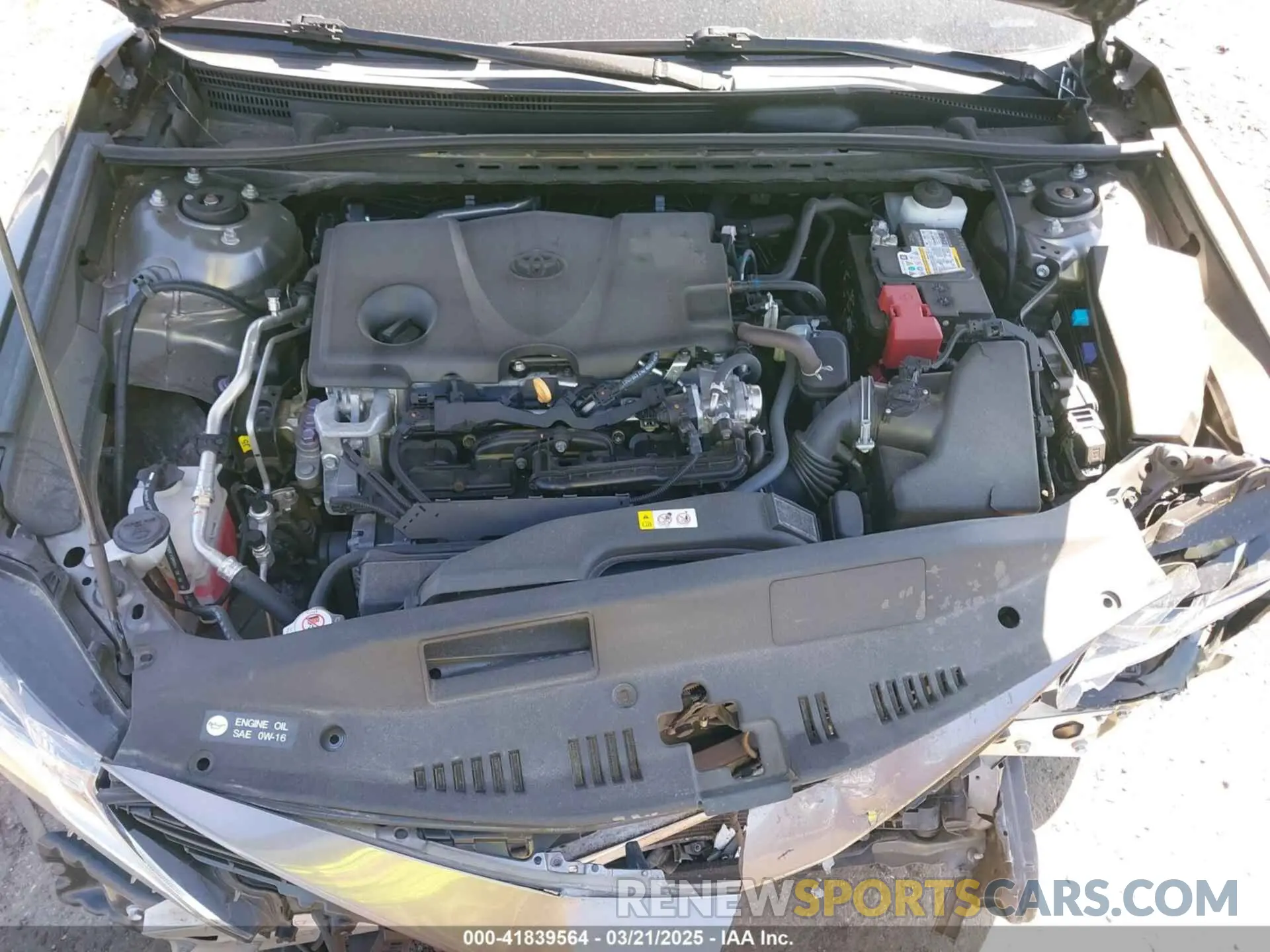 10 fotografías del automóvil dañado 4T1C11AK5MU563426 TOYOTA CAMRY 2021