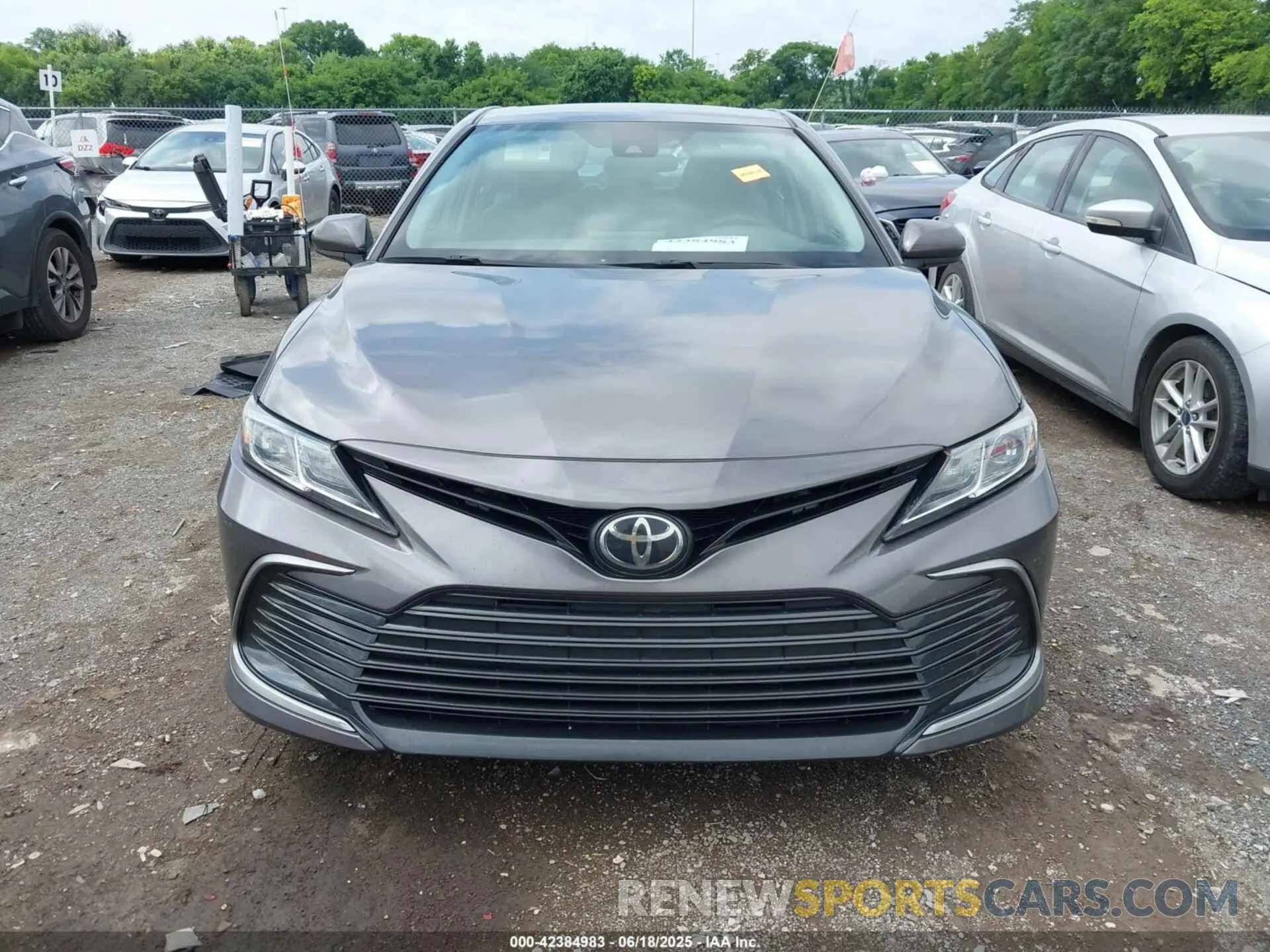 12 fotografías del automóvil dañado 4T1C11AK6MU420419 TOYOTA CAMRY 2021