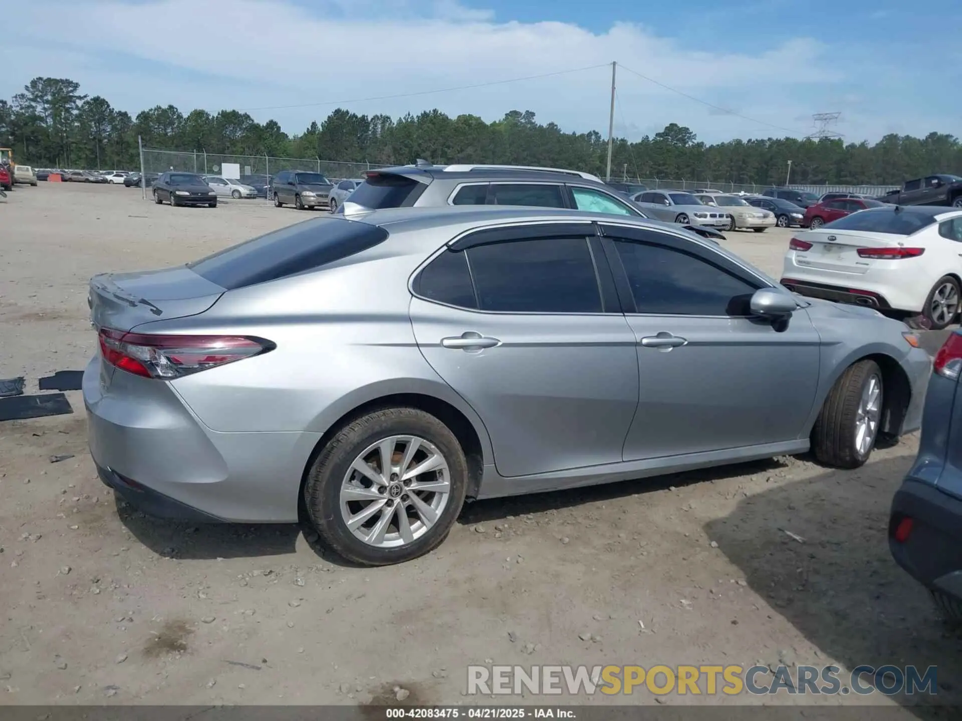 13 fotografías del automóvil dañado 4T1C11AK6MU443408 TOYOTA CAMRY 2021