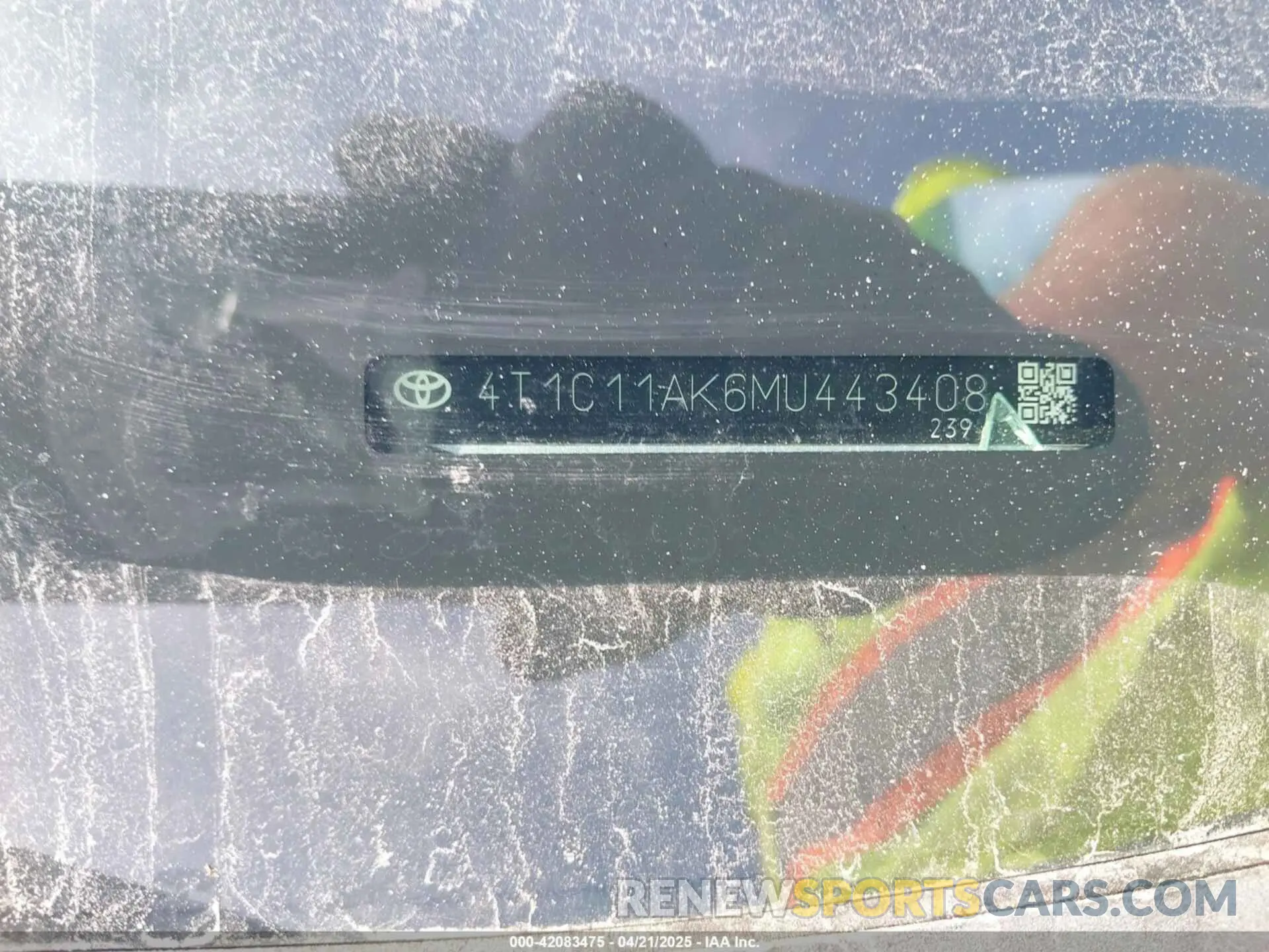 9 fotografías del automóvil dañado 4T1C11AK6MU443408 TOYOTA CAMRY 2021