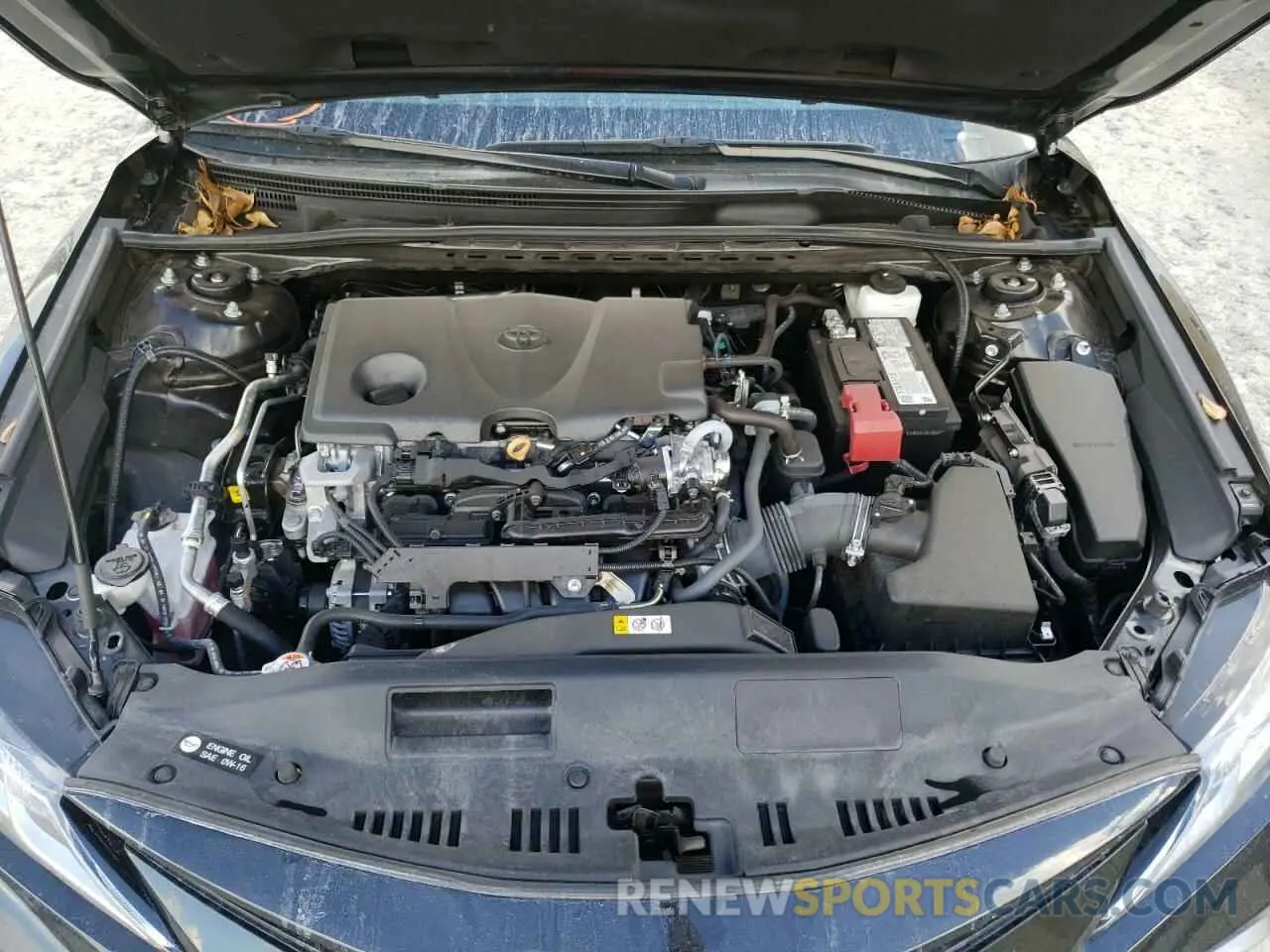 11 fotografías del automóvil dañado 4T1C11AK6MU495881 TOYOTA CAMRY 2021