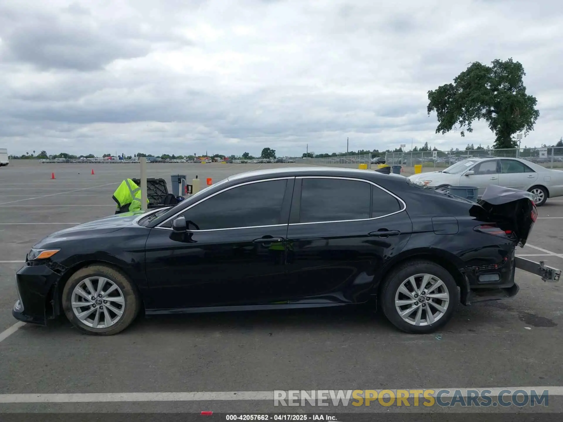 14 fotografías del automóvil dañado 4T1C11AK8MU421894 TOYOTA CAMRY 2021