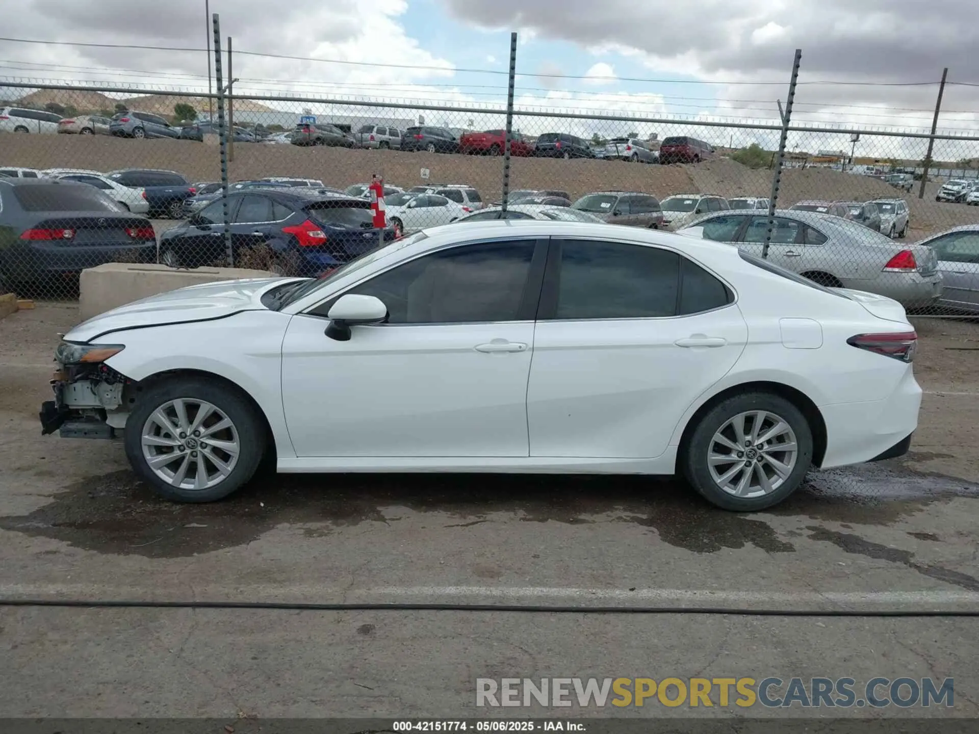 15 fotografías del automóvil dañado 4T1C11AK8MU533904 TOYOTA CAMRY 2021
