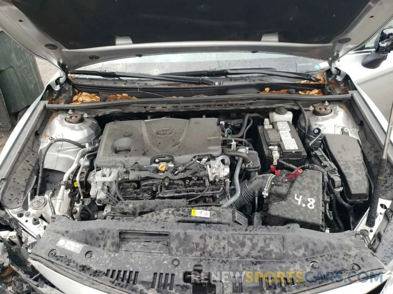 7 fotografías del automóvil dañado 4T1C11AK8MU553120 TOYOTA CAMRY 2021