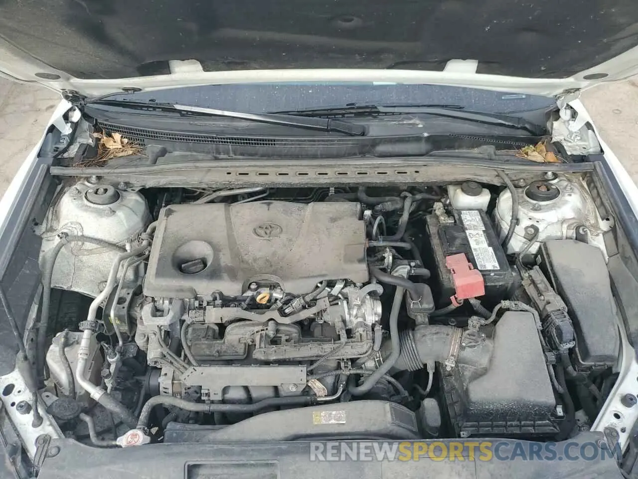 11 fotografías del automóvil dañado 4T1C11AK9MU457206 TOYOTA CAMRY 2021