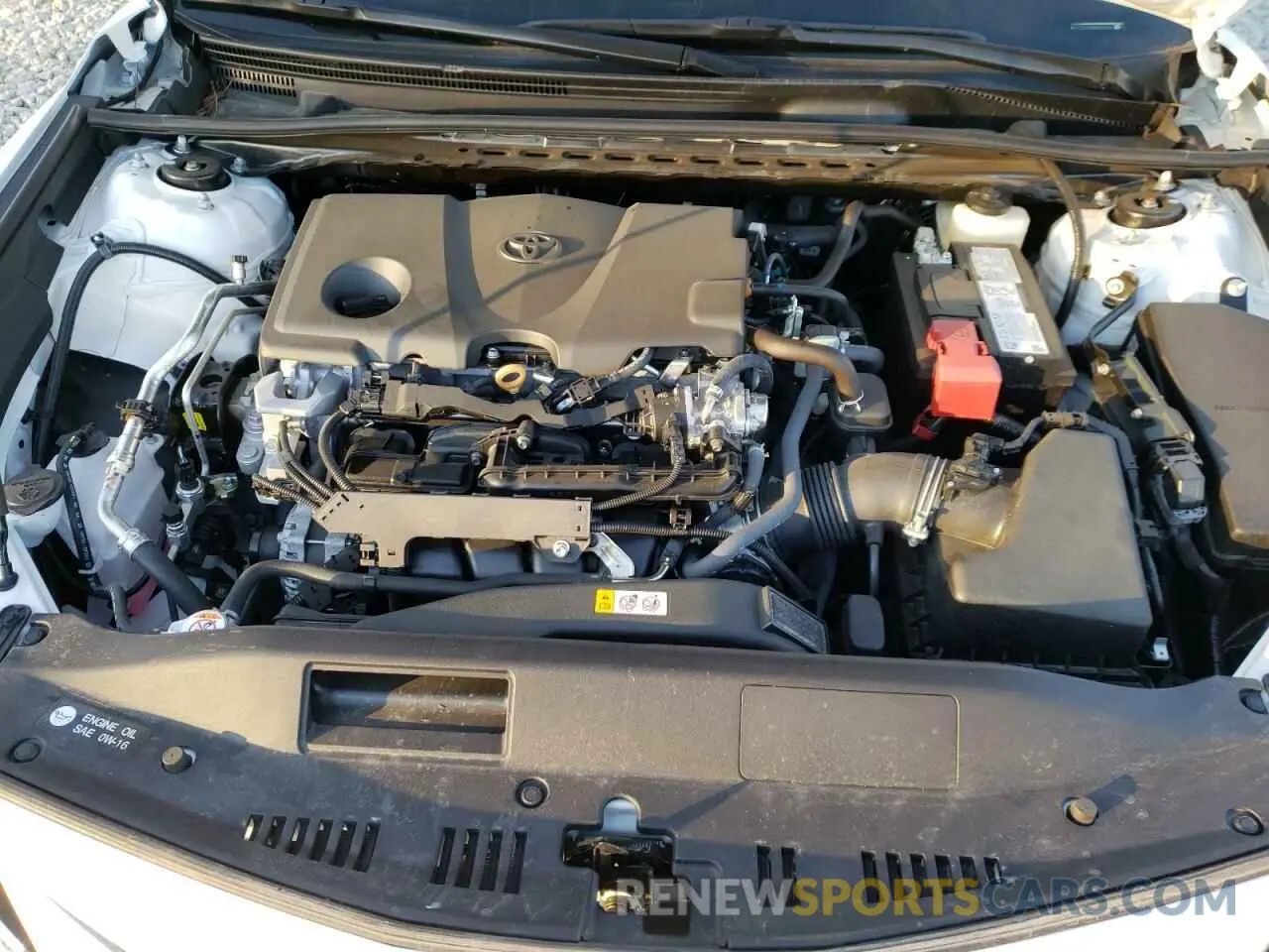 7 fotografías del automóvil dañado 4T1C11AK9MU528243 TOYOTA CAMRY 2021