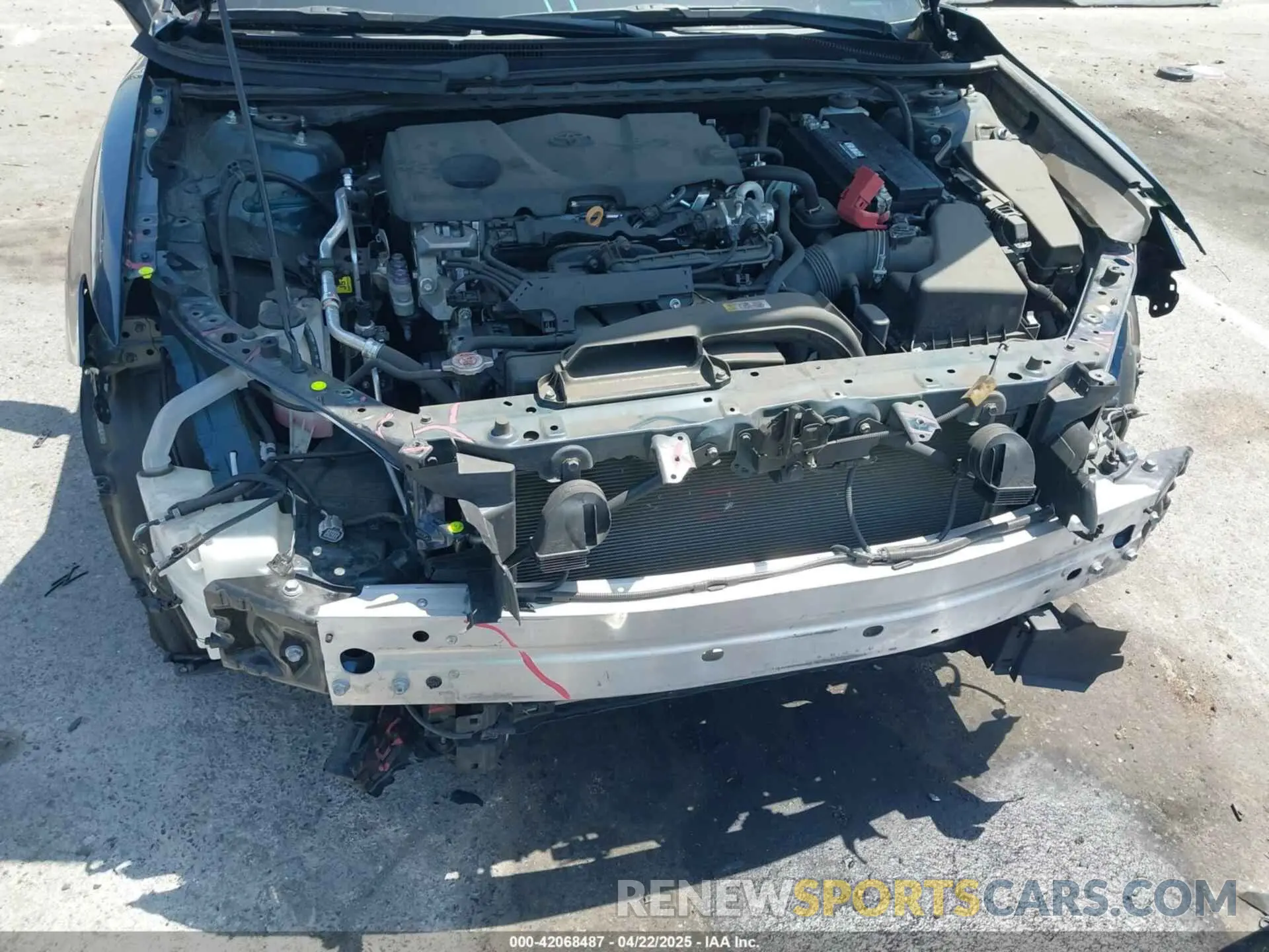 6 fotografías del automóvil dañado 4T1C11AK9MU564529 TOYOTA CAMRY 2021