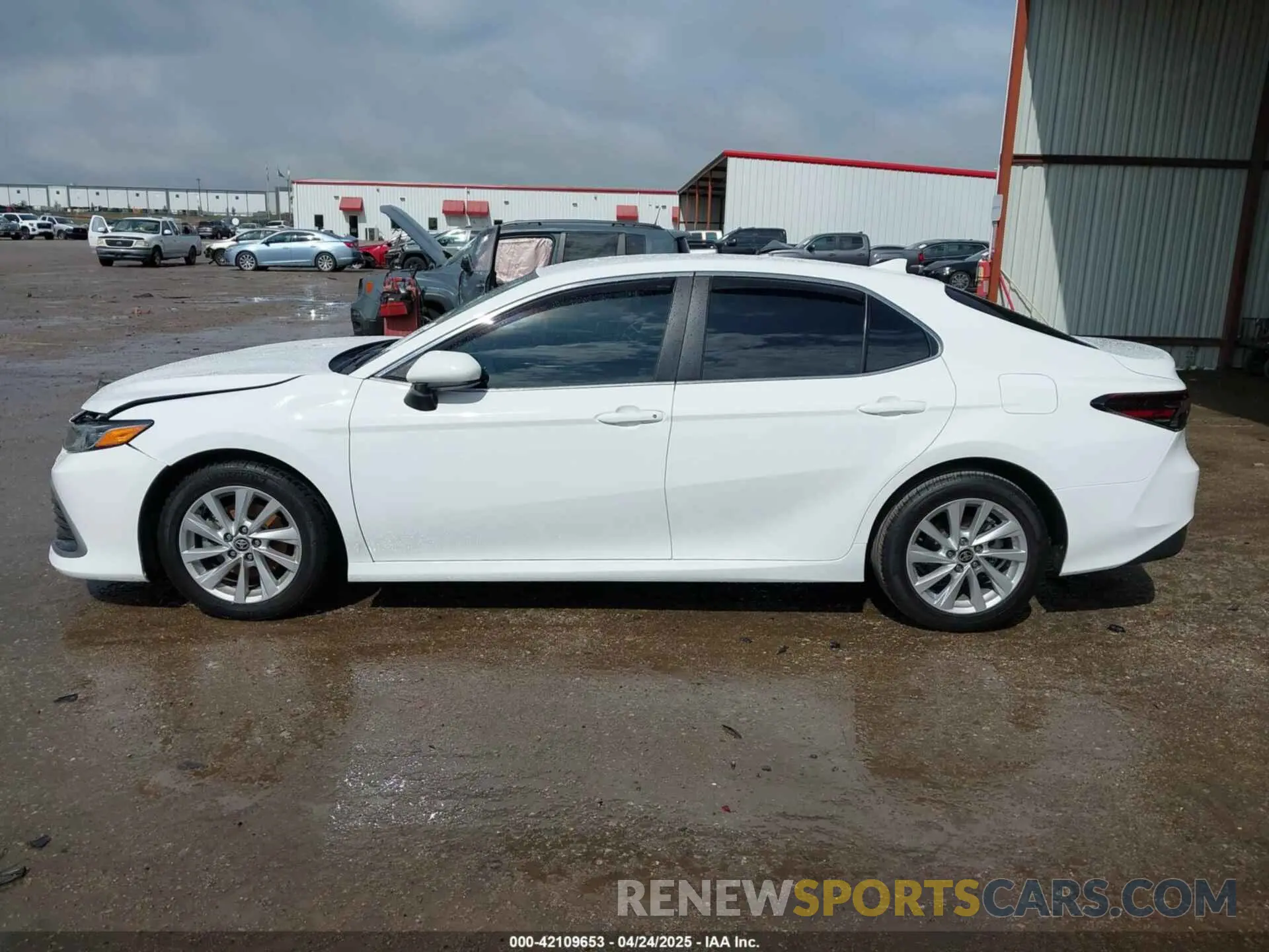 14 fotografías del automóvil dañado 4T1C11AK9MU568208 TOYOTA CAMRY 2021