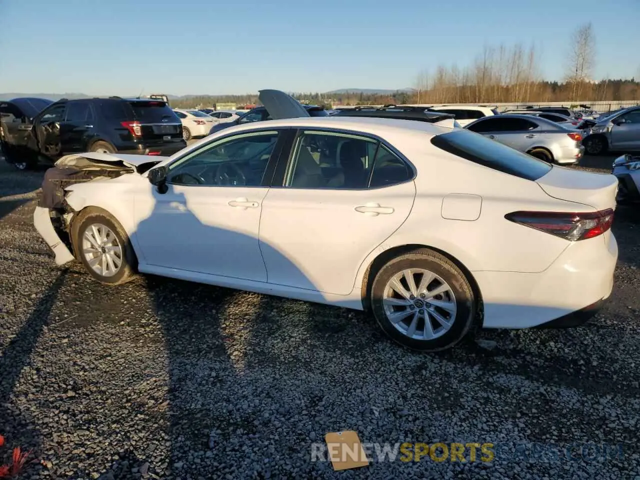 2 fotografías del automóvil dañado 4T1C11AK9MU603166 TOYOTA CAMRY 2021