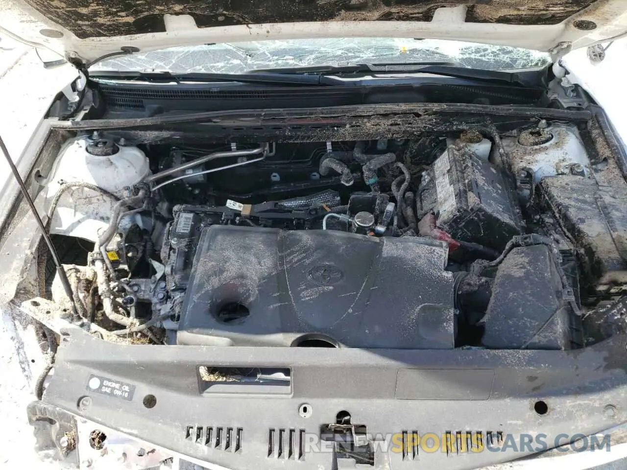 11 fotografías del automóvil dañado 4T1C11AKXMU495401 TOYOTA CAMRY 2021
