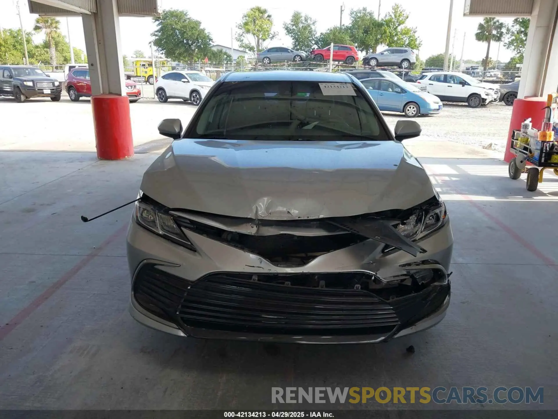 12 fotografías del automóvil dañado 4T1C11AKXMU569254 TOYOTA CAMRY 2021