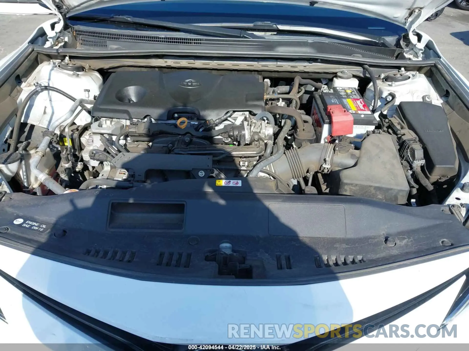 10 fotografías del automóvil dañado 4T1C11AKXMU597300 TOYOTA CAMRY 2021