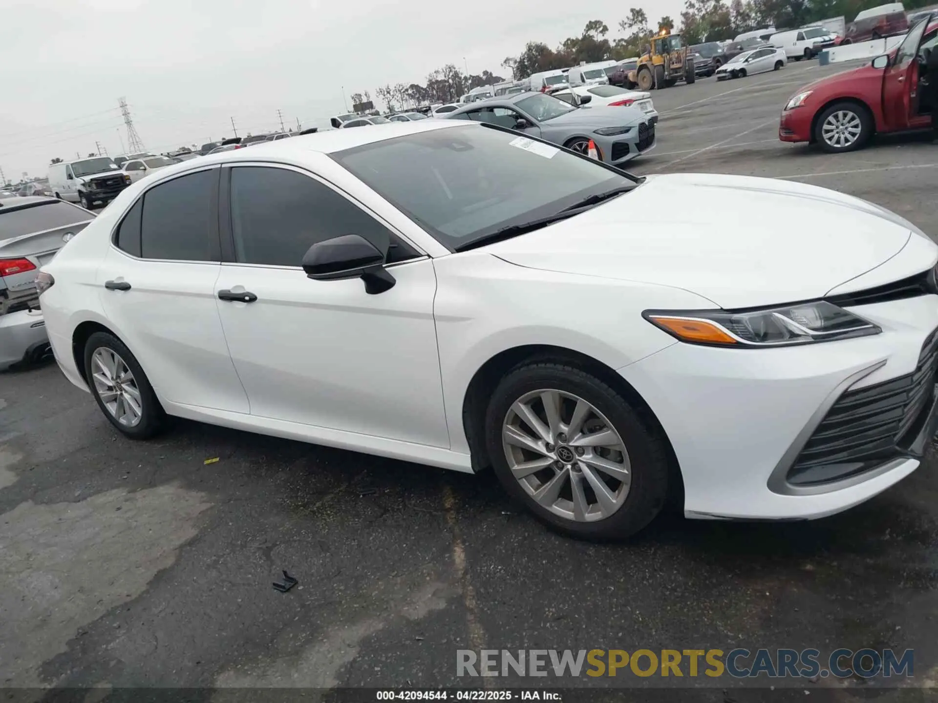 13 fotografías del automóvil dañado 4T1C11AKXMU597300 TOYOTA CAMRY 2021