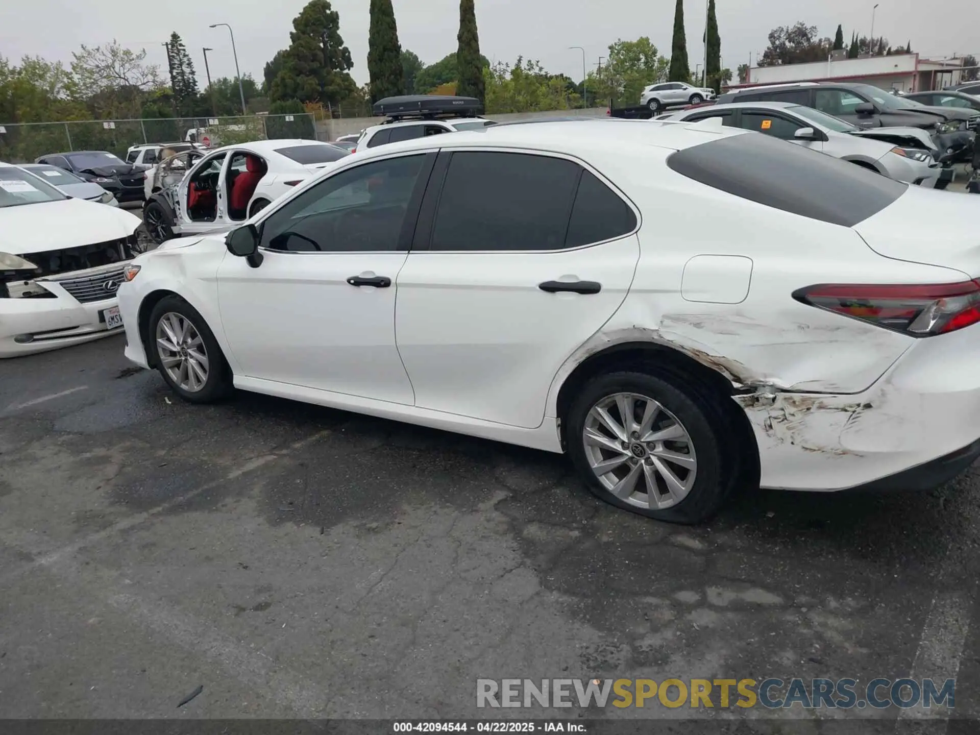14 fotografías del automóvil dañado 4T1C11AKXMU597300 TOYOTA CAMRY 2021