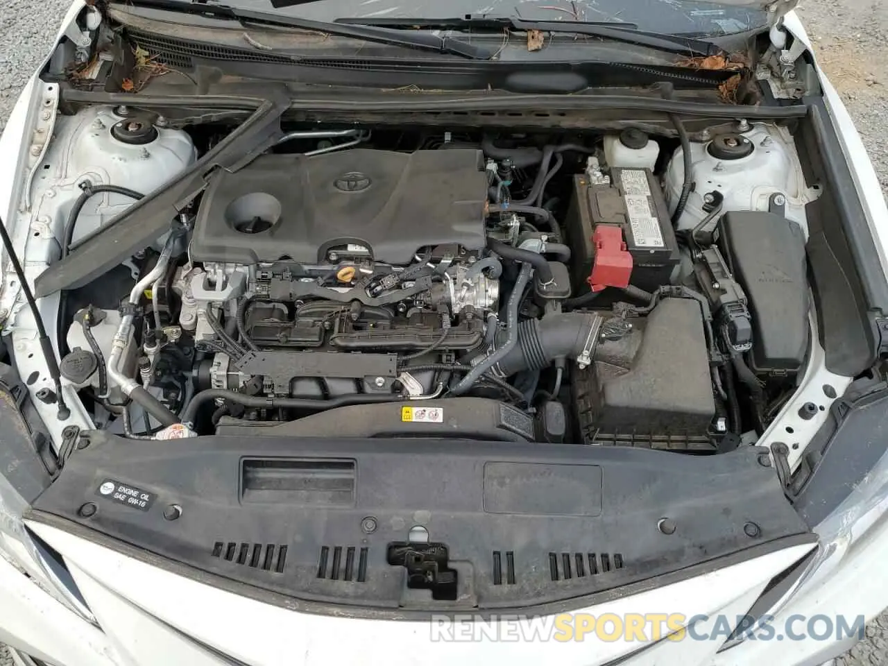 11 fotografías del automóvil dañado 4T1C11AKXMU602141 TOYOTA CAMRY 2021