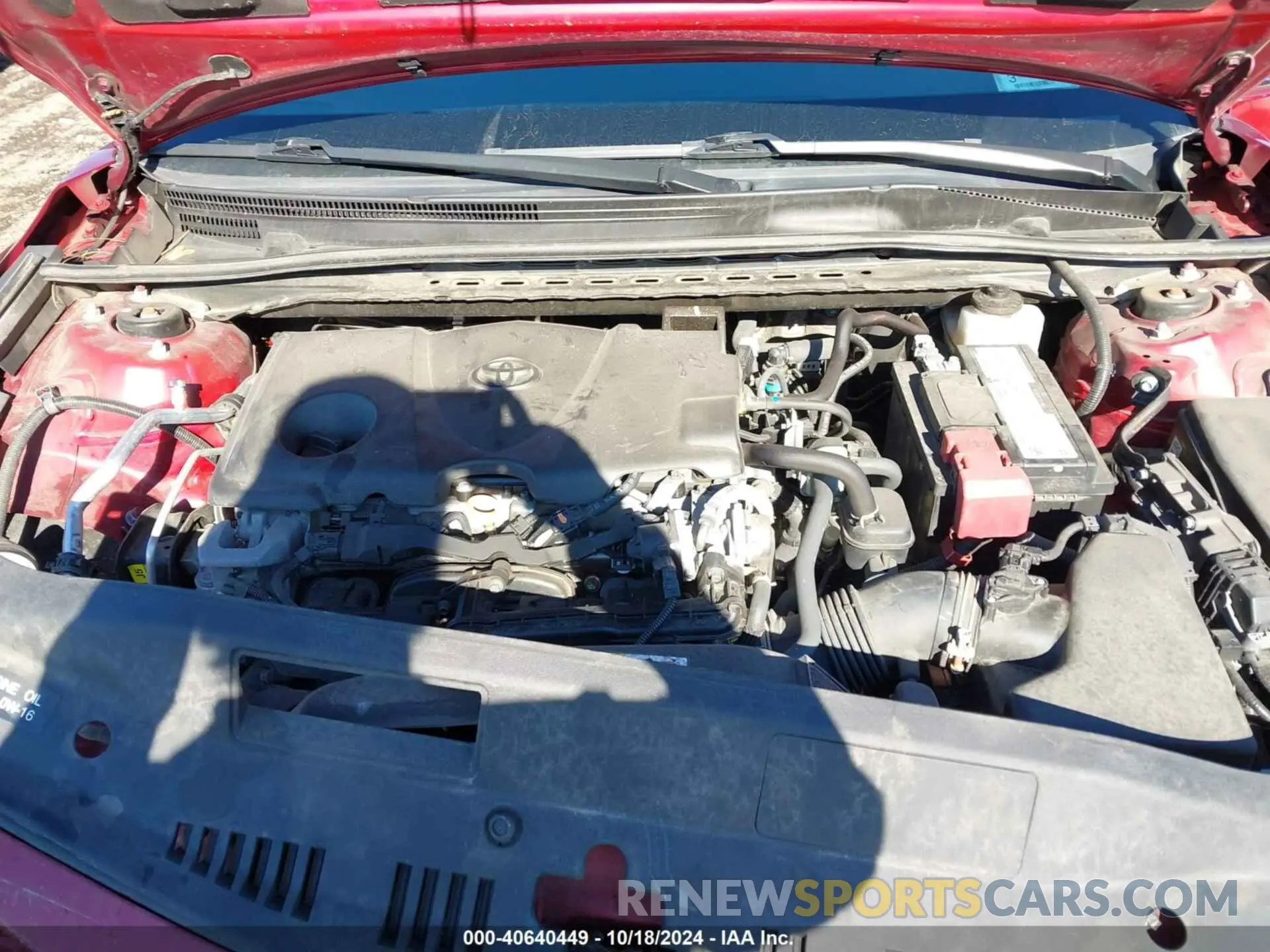 10 fotografías del automóvil dañado 4T1C11BK0MU020953 TOYOTA CAMRY 2021
