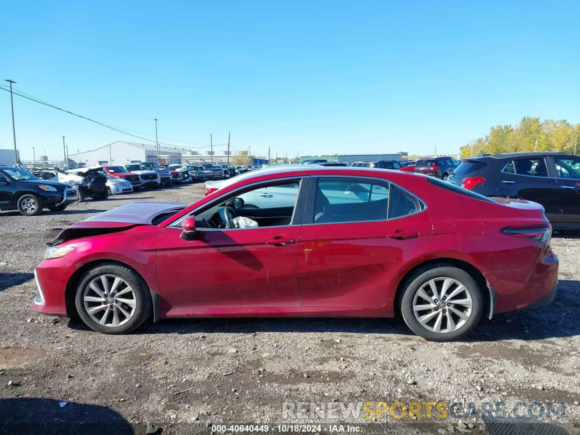 14 fotografías del automóvil dañado 4T1C11BK0MU020953 TOYOTA CAMRY 2021