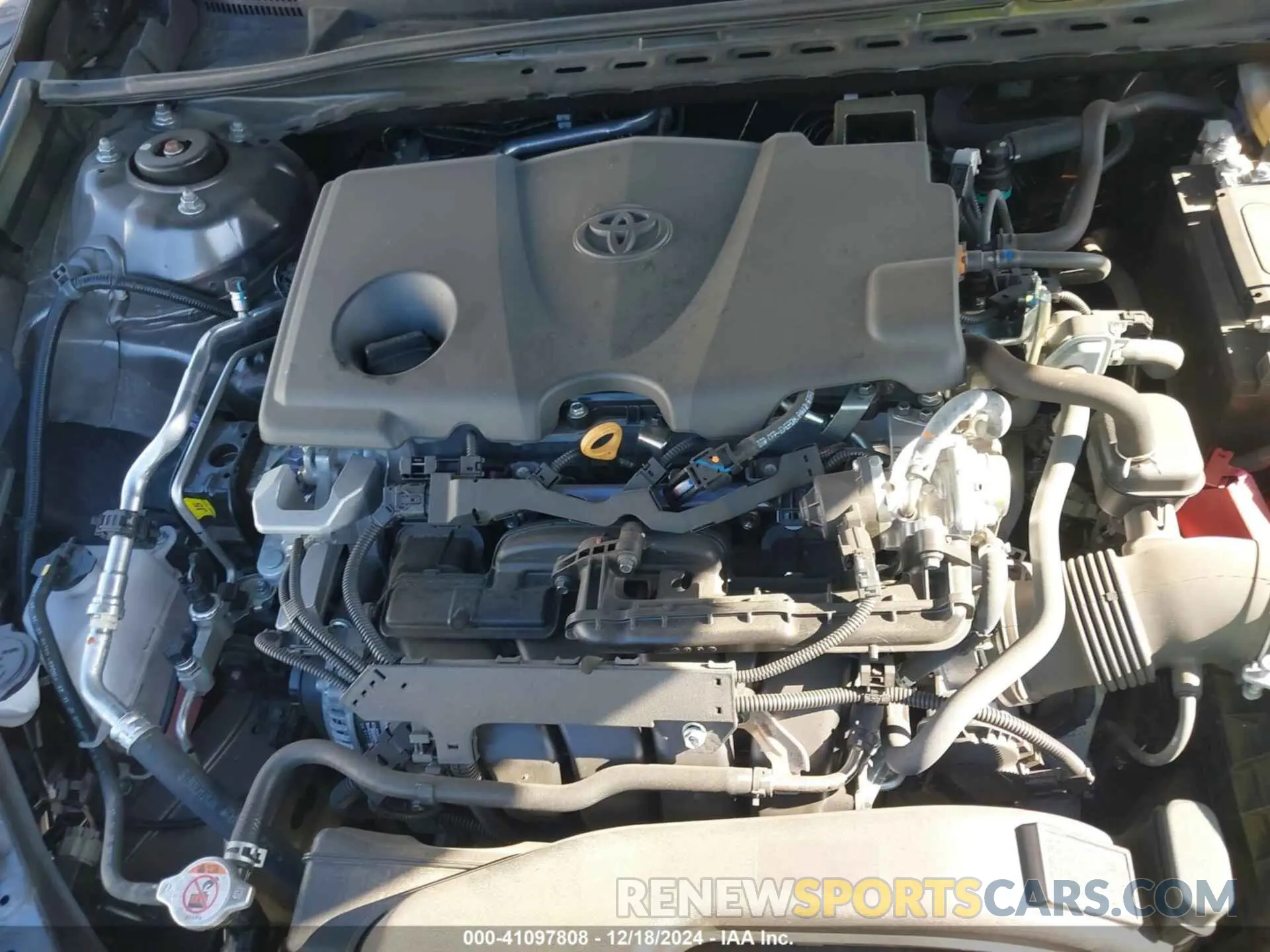 10 fotografías del automóvil dañado 4T1C11BK2MU042243 TOYOTA CAMRY 2021