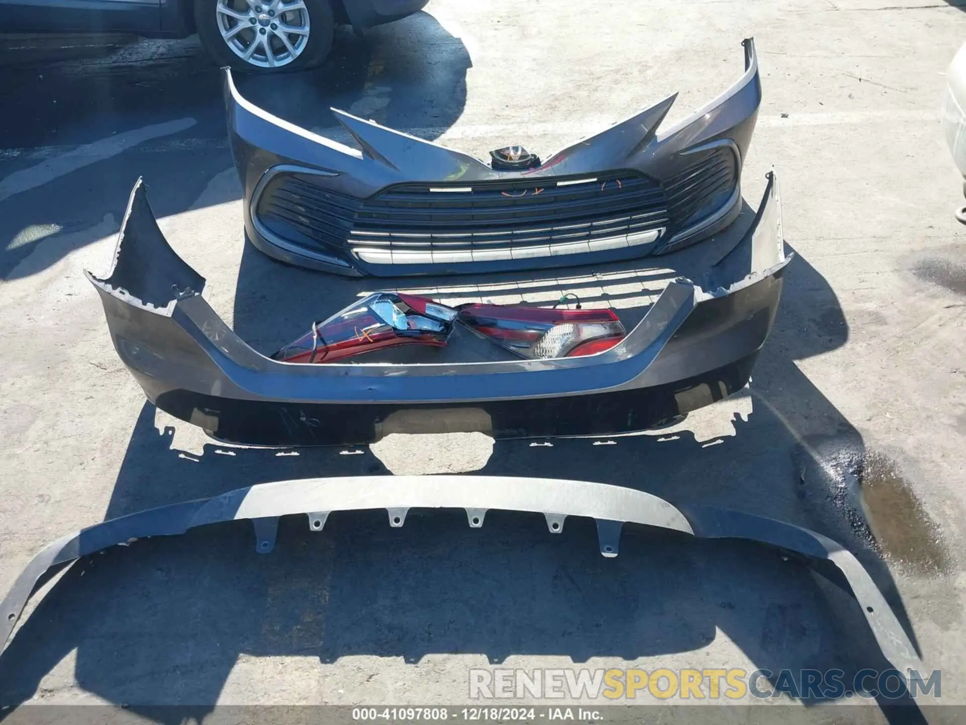 12 fotografías del automóvil dañado 4T1C11BK2MU042243 TOYOTA CAMRY 2021