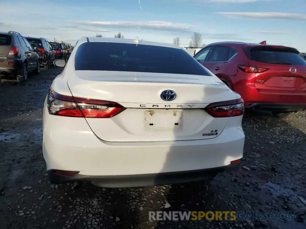 6 fotografías del automóvil dañado 4T1C31AK0MU030247 TOYOTA CAMRY 2021