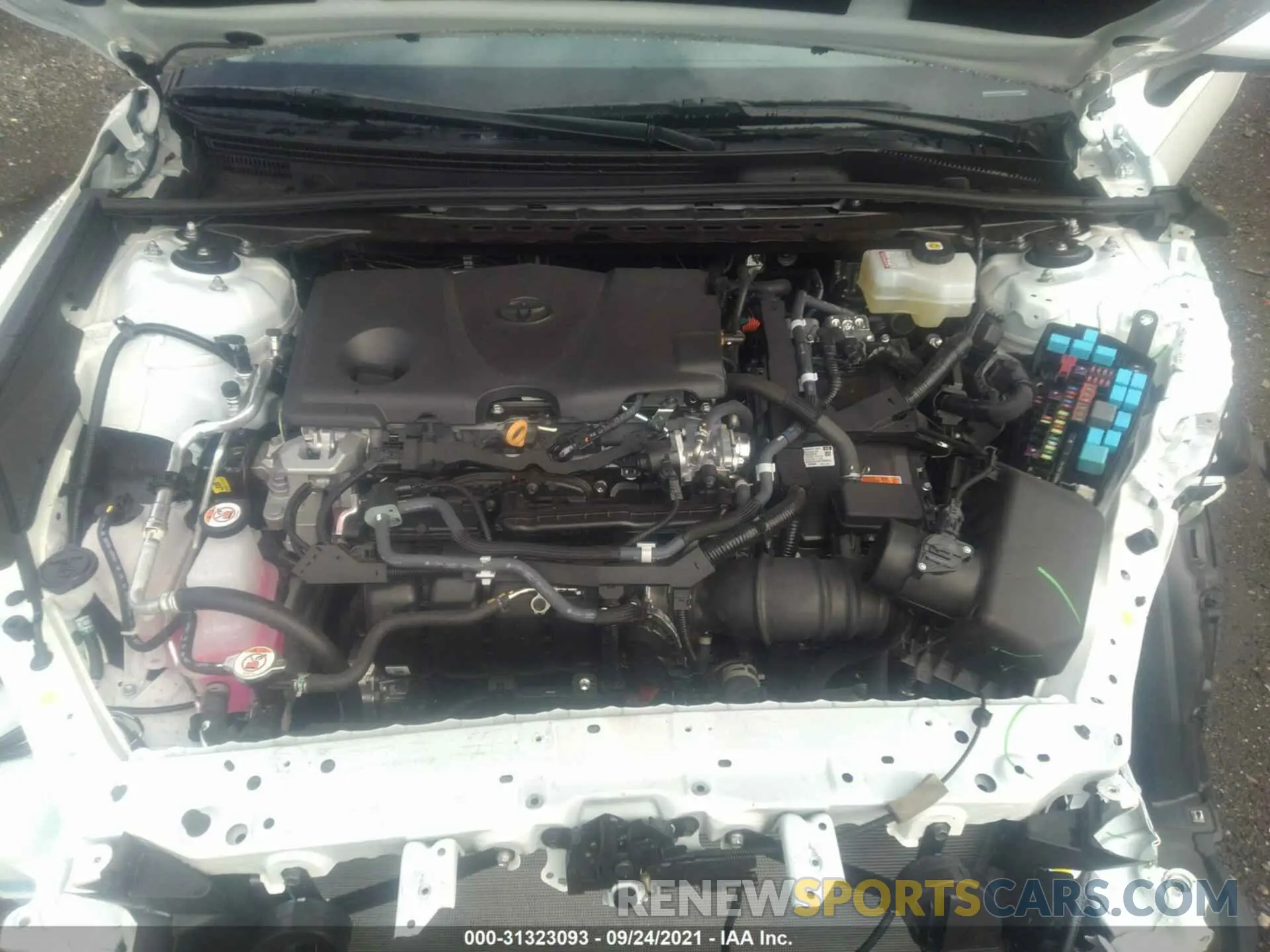 10 fotografías del automóvil dañado 4T1C31AK1MU030614 TOYOTA CAMRY 2021