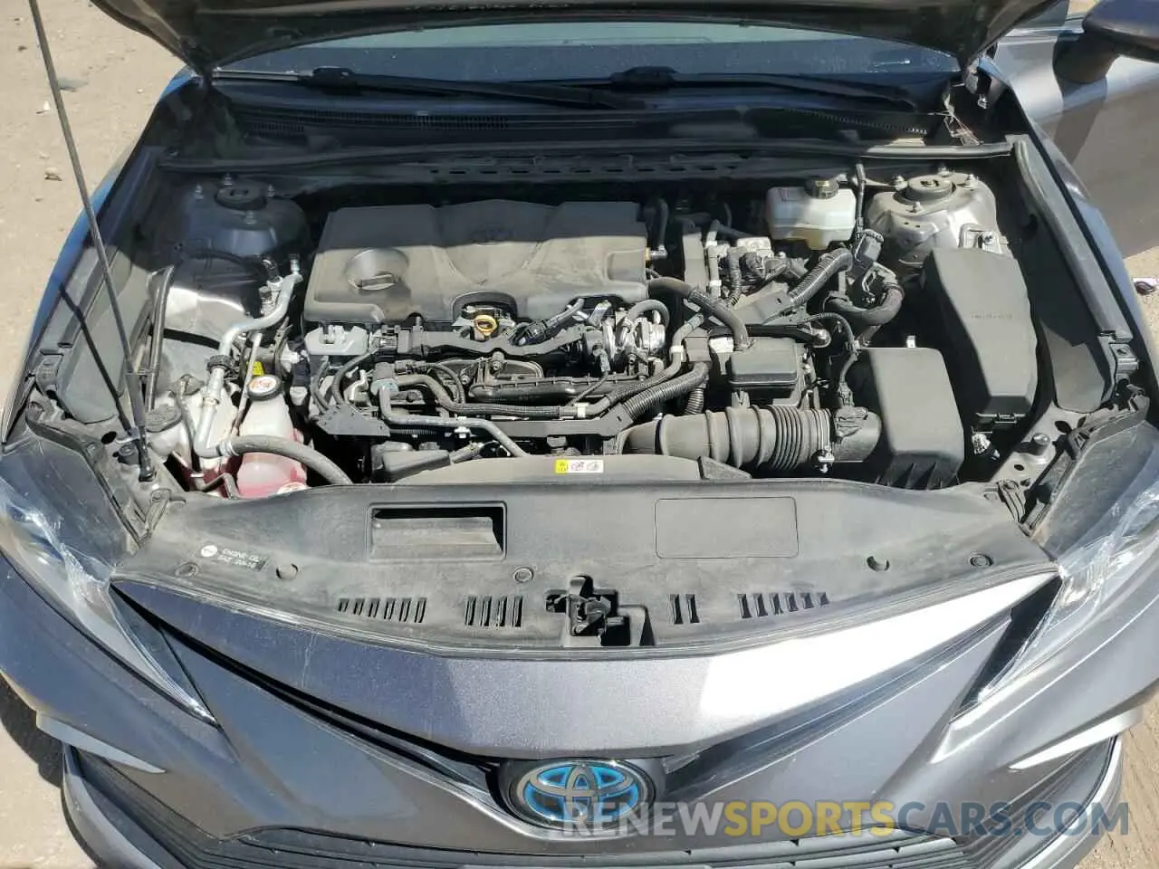 11 fotografías del automóvil dañado 4T1C31AK2MU553138 TOYOTA CAMRY 2021