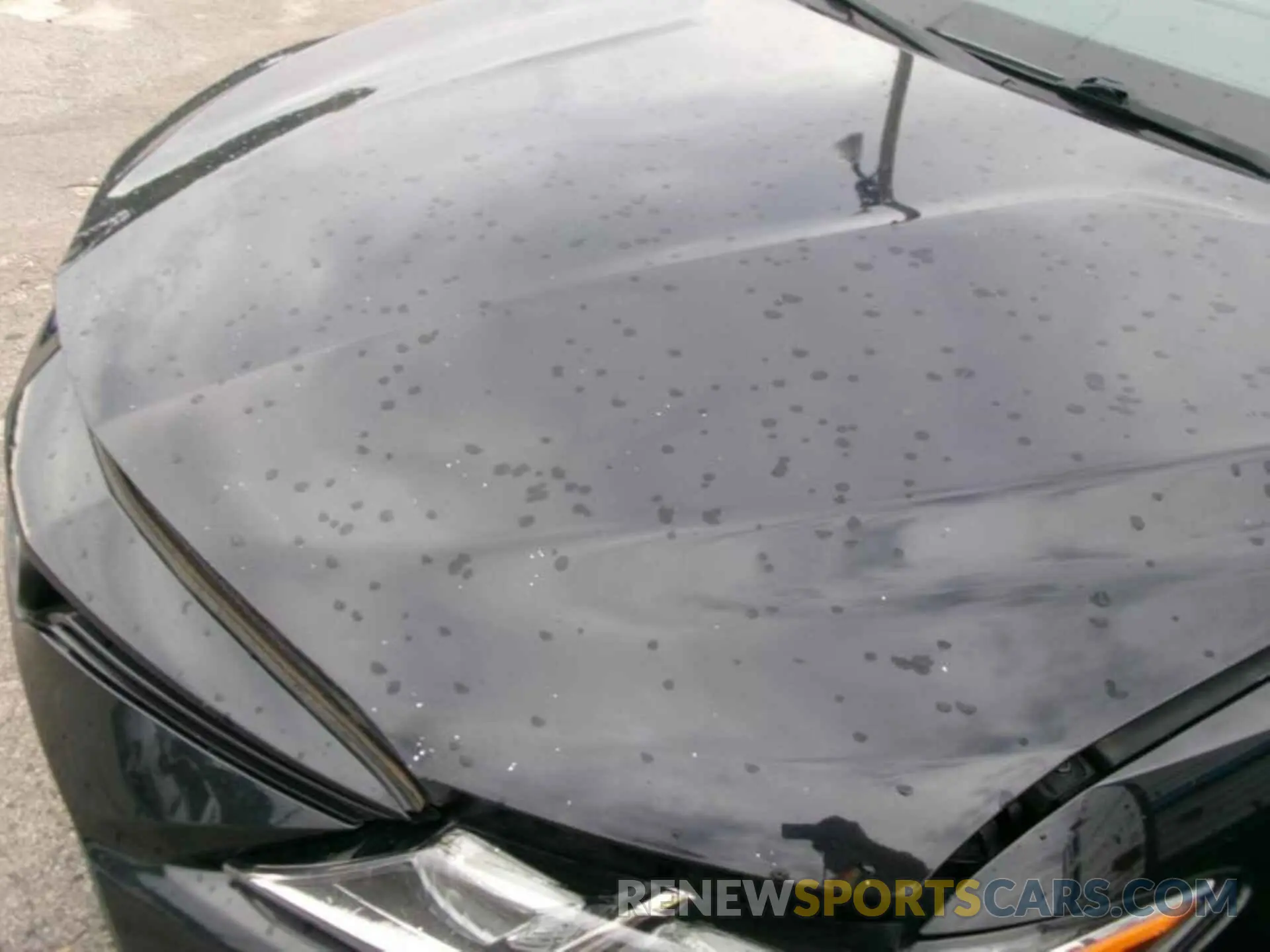 17 fotografías del automóvil dañado 4T1C31AK4MU021003 TOYOTA CAMRY 2021