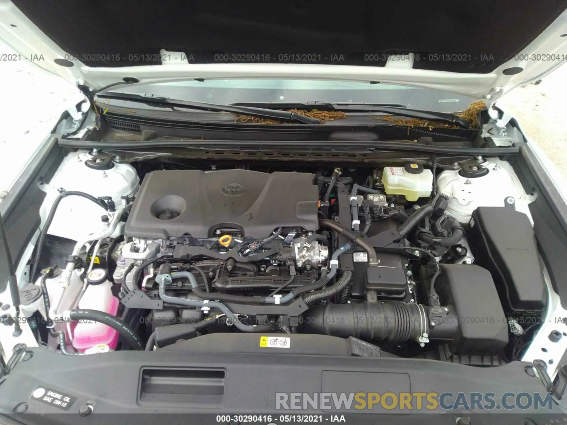 10 fotografías del automóvil dañado 4T1C31AK4MU550712 TOYOTA CAMRY 2021
