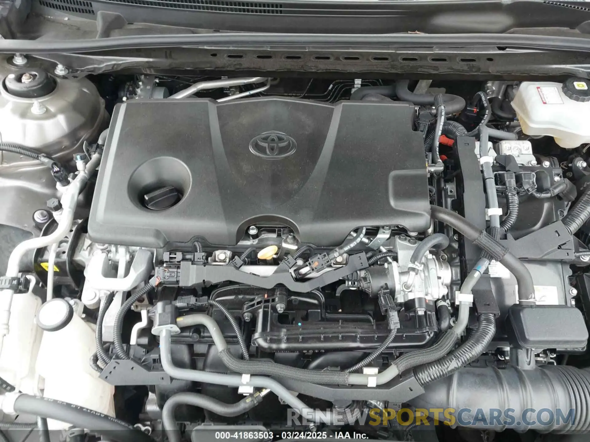 10 fotografías del automóvil dañado 4T1C31AK4MU557997 TOYOTA CAMRY 2021