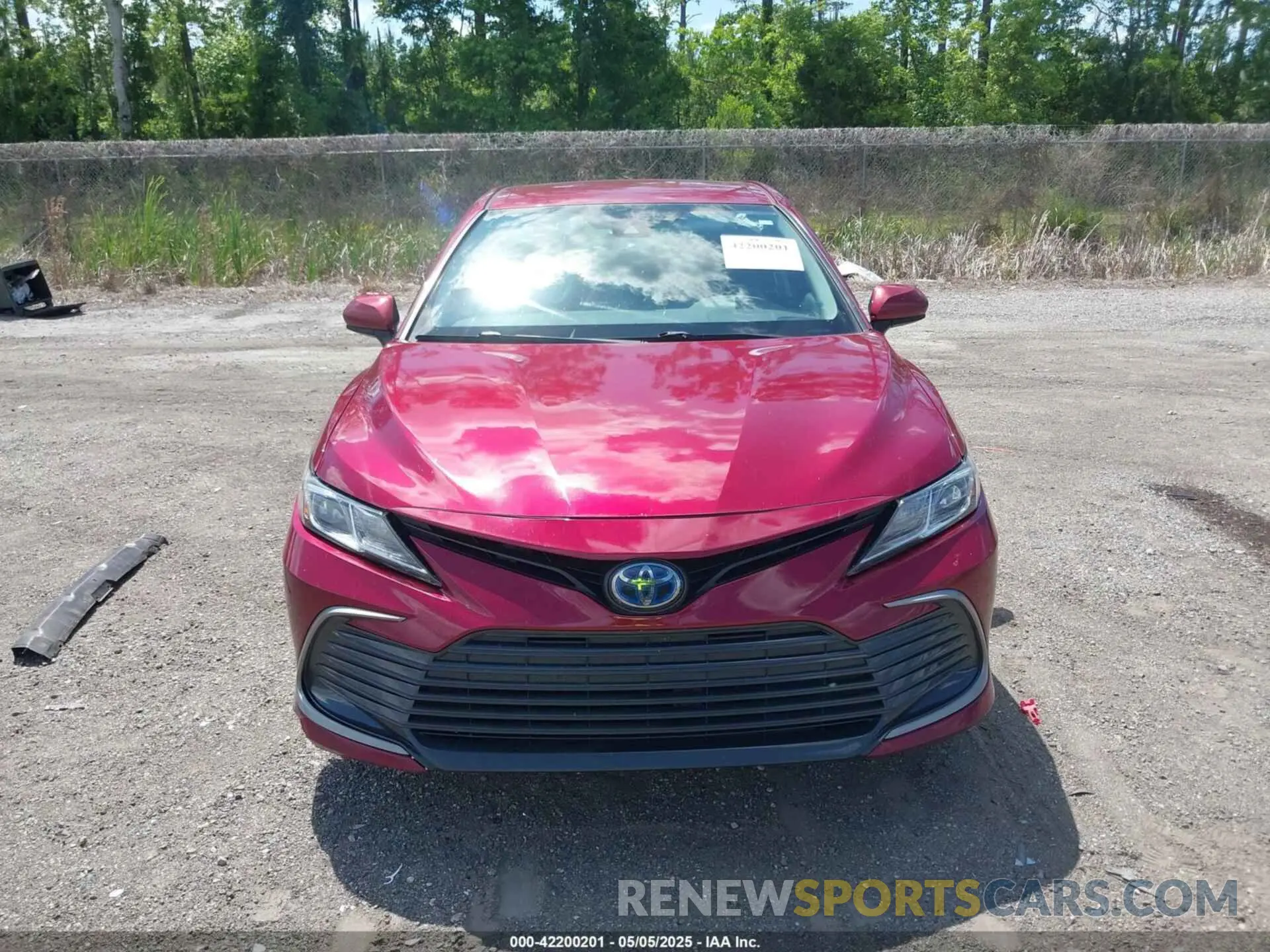 12 fotografías del automóvil dañado 4T1C31AK5MU030115 TOYOTA CAMRY 2021