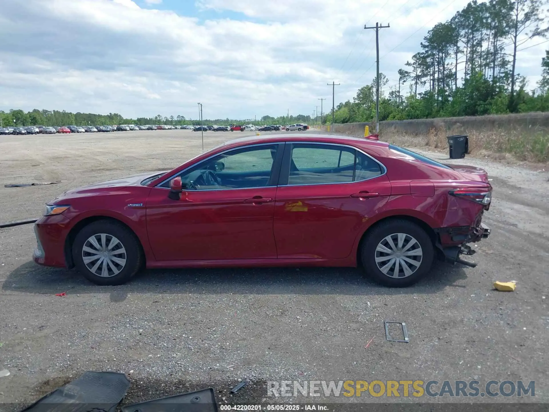 14 fotografías del automóvil dañado 4T1C31AK5MU030115 TOYOTA CAMRY 2021