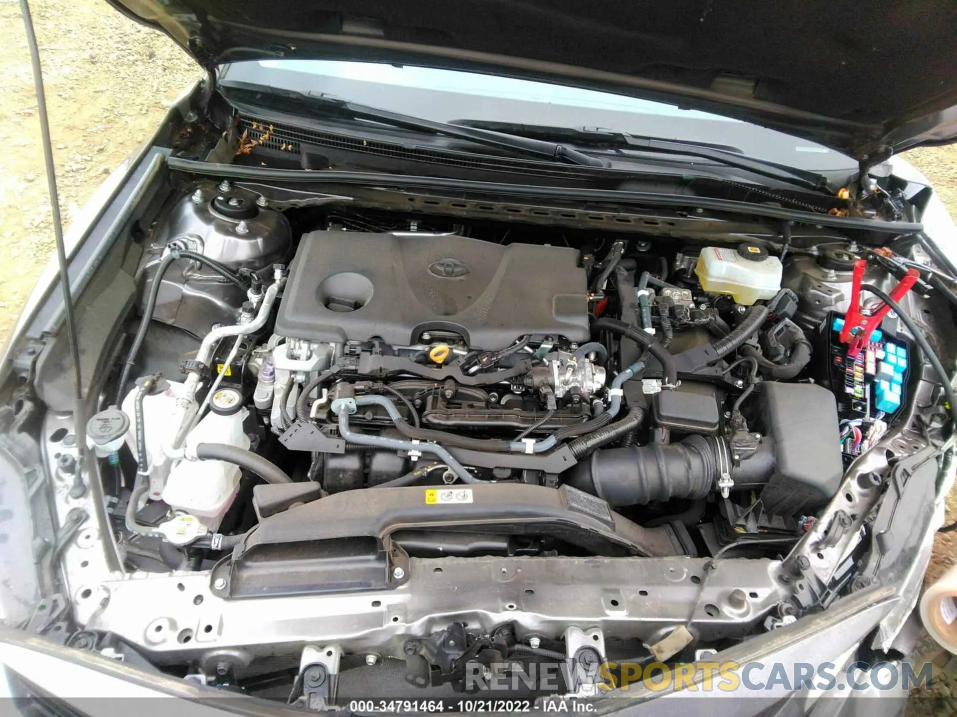10 fotografías del automóvil dañado 4T1C31AK5MU030146 TOYOTA CAMRY 2021