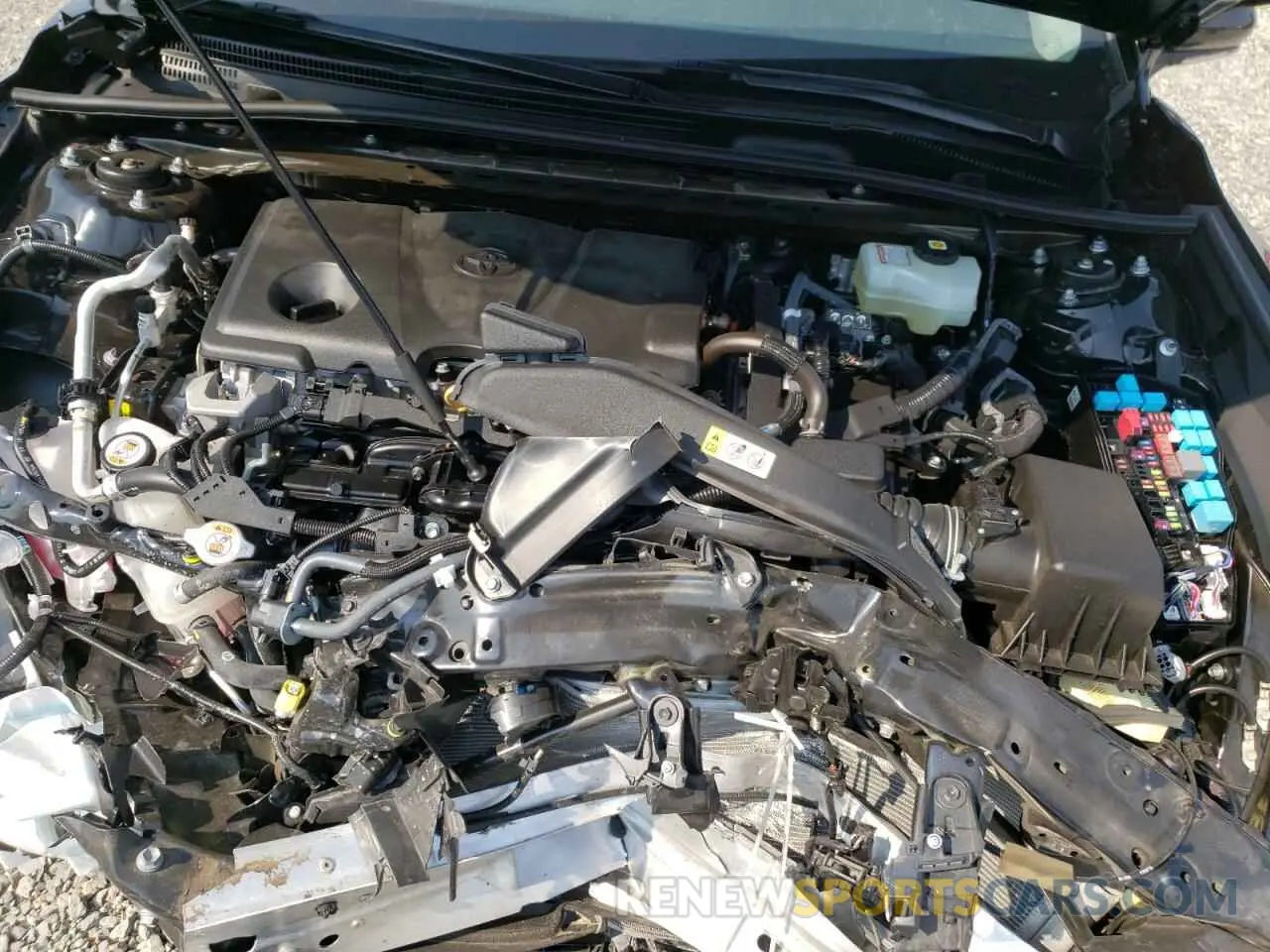 7 fotografías del automóvil dañado 4T1C31AK5MU551111 TOYOTA CAMRY 2021
