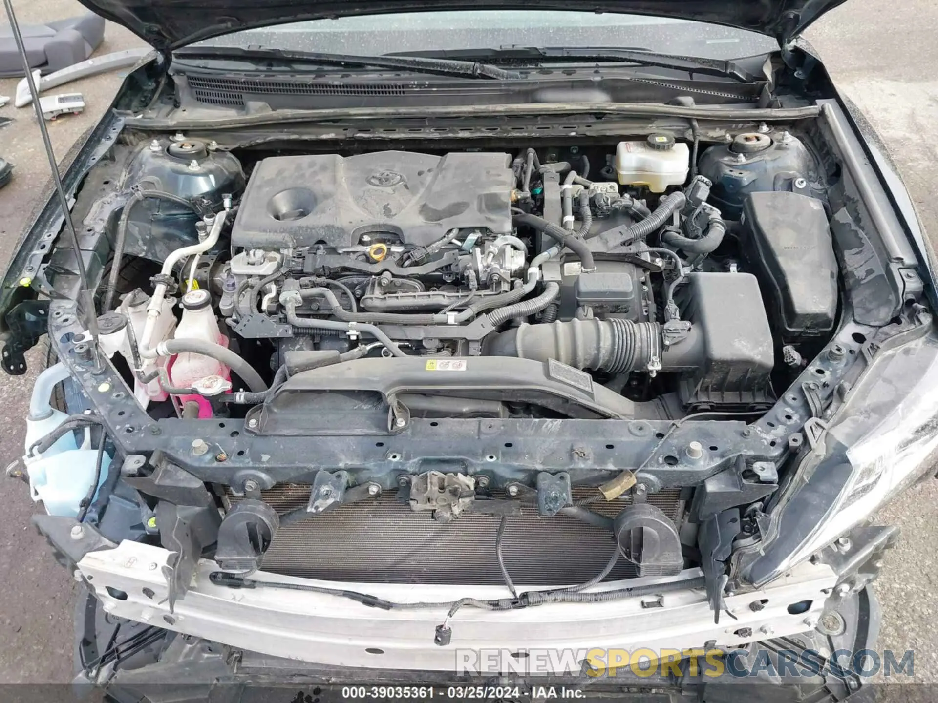 10 fotografías del automóvil dañado 4T1C31AK5MU551318 TOYOTA CAMRY 2021