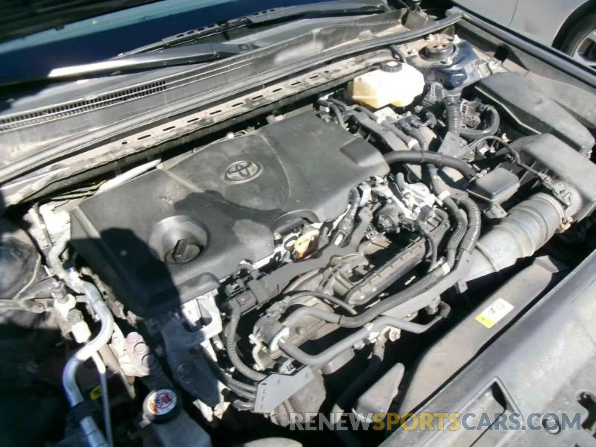 14 fotografías del automóvil dañado 4T1C31AK5MU551450 TOYOTA CAMRY 2021