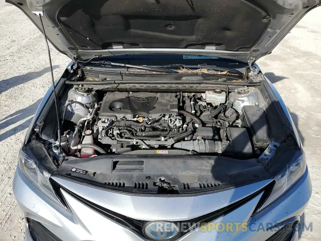 11 fotografías del automóvil dañado 4T1C31AK7MU551353 TOYOTA CAMRY 2021