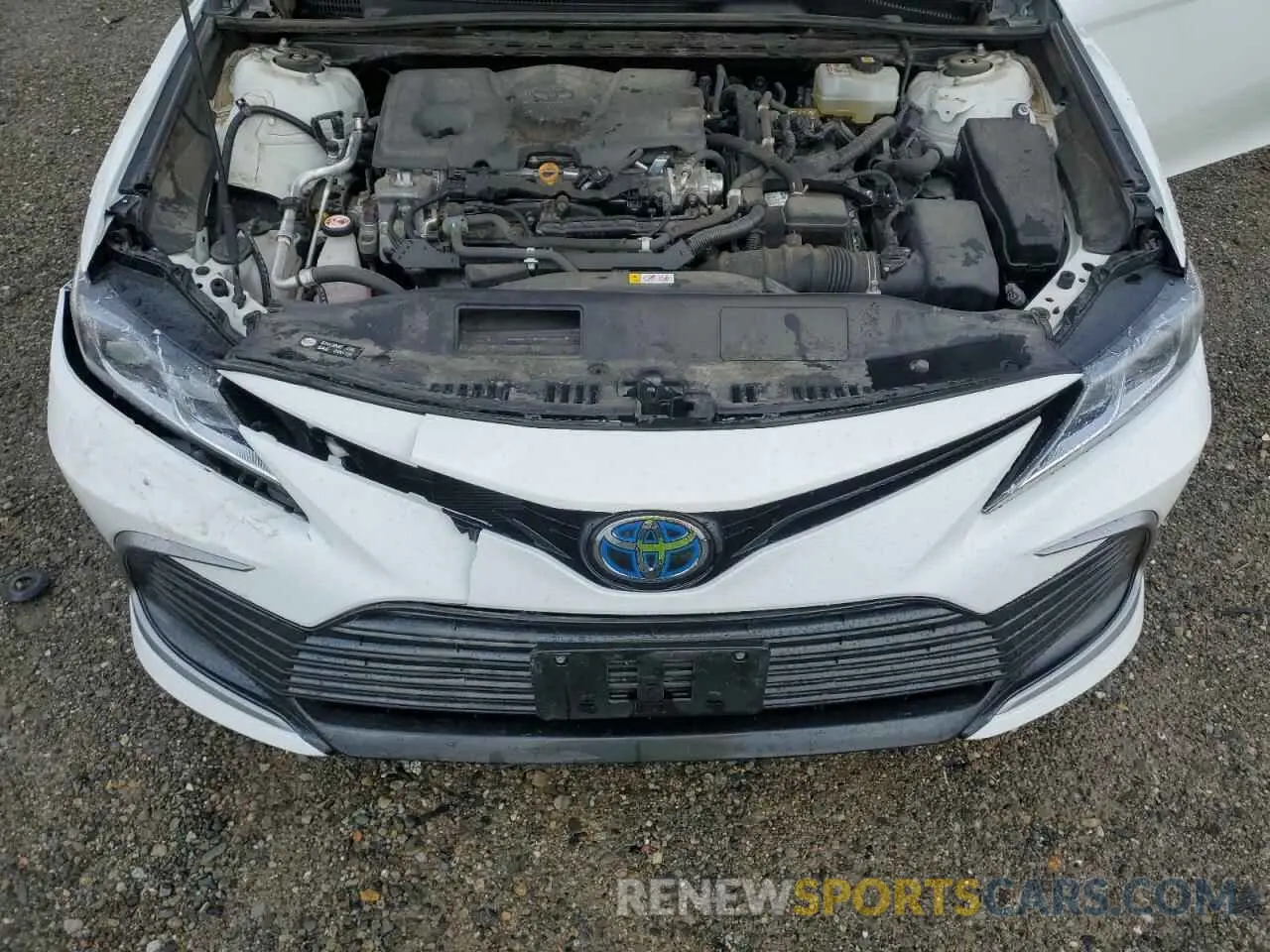 11 fotografías del automóvil dañado 4T1C31AK9MU022017 TOYOTA CAMRY 2021