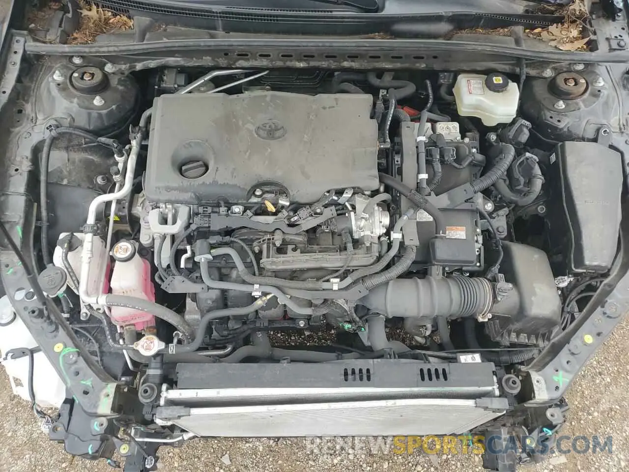 11 fotografías del automóvil dañado 4T1C31AK9MU552326 TOYOTA CAMRY 2021