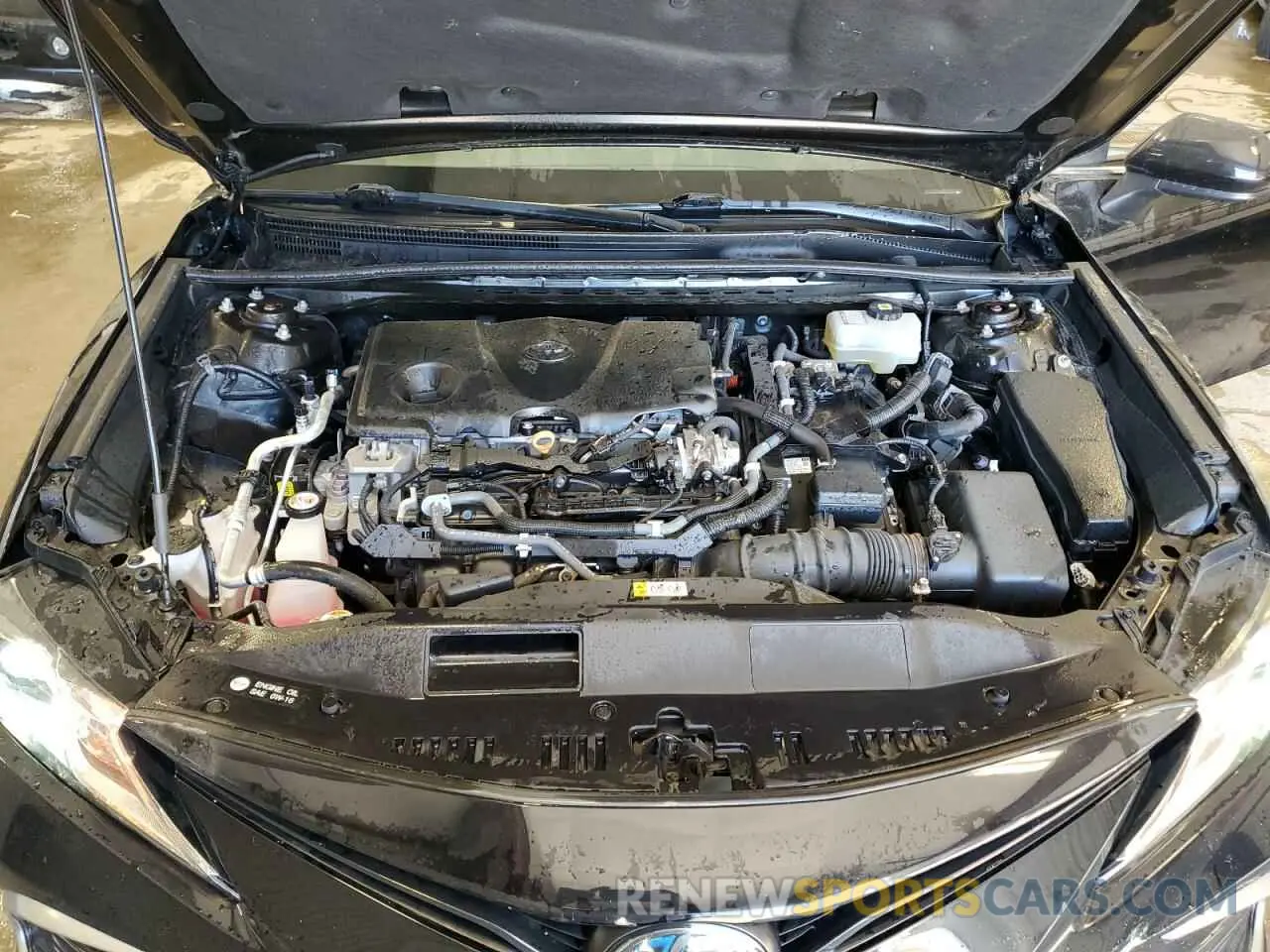 11 fotografías del automóvil dañado 4T1C31AKXMU022978 TOYOTA CAMRY 2021