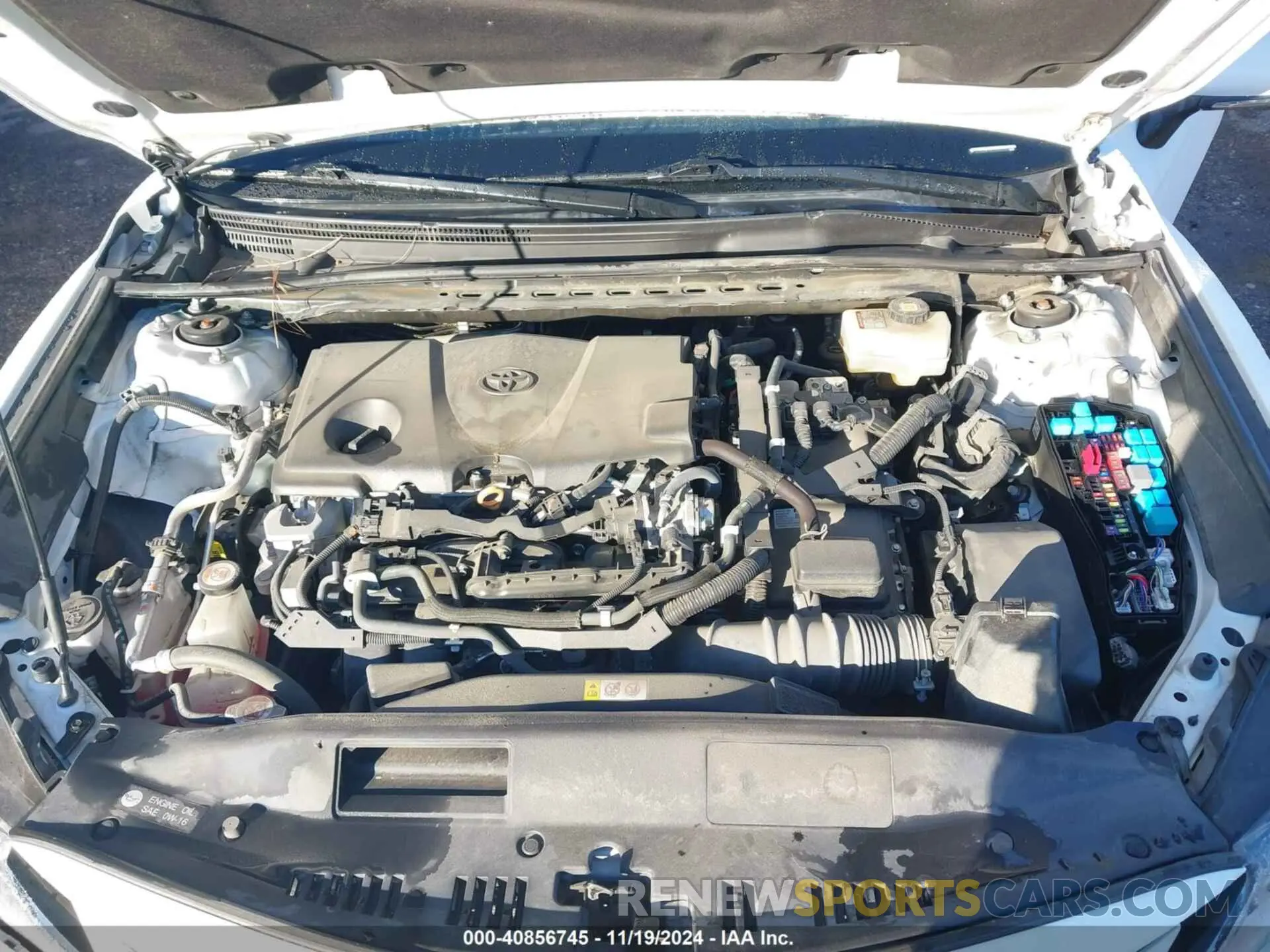 10 fotografías del automóvil dañado 4T1C31AKXMU562069 TOYOTA CAMRY 2021